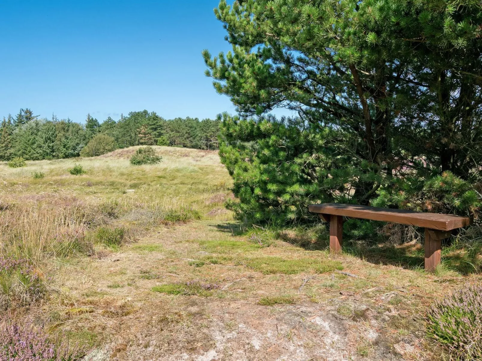 "Siegried" - 2.2km from the sea-Buiten