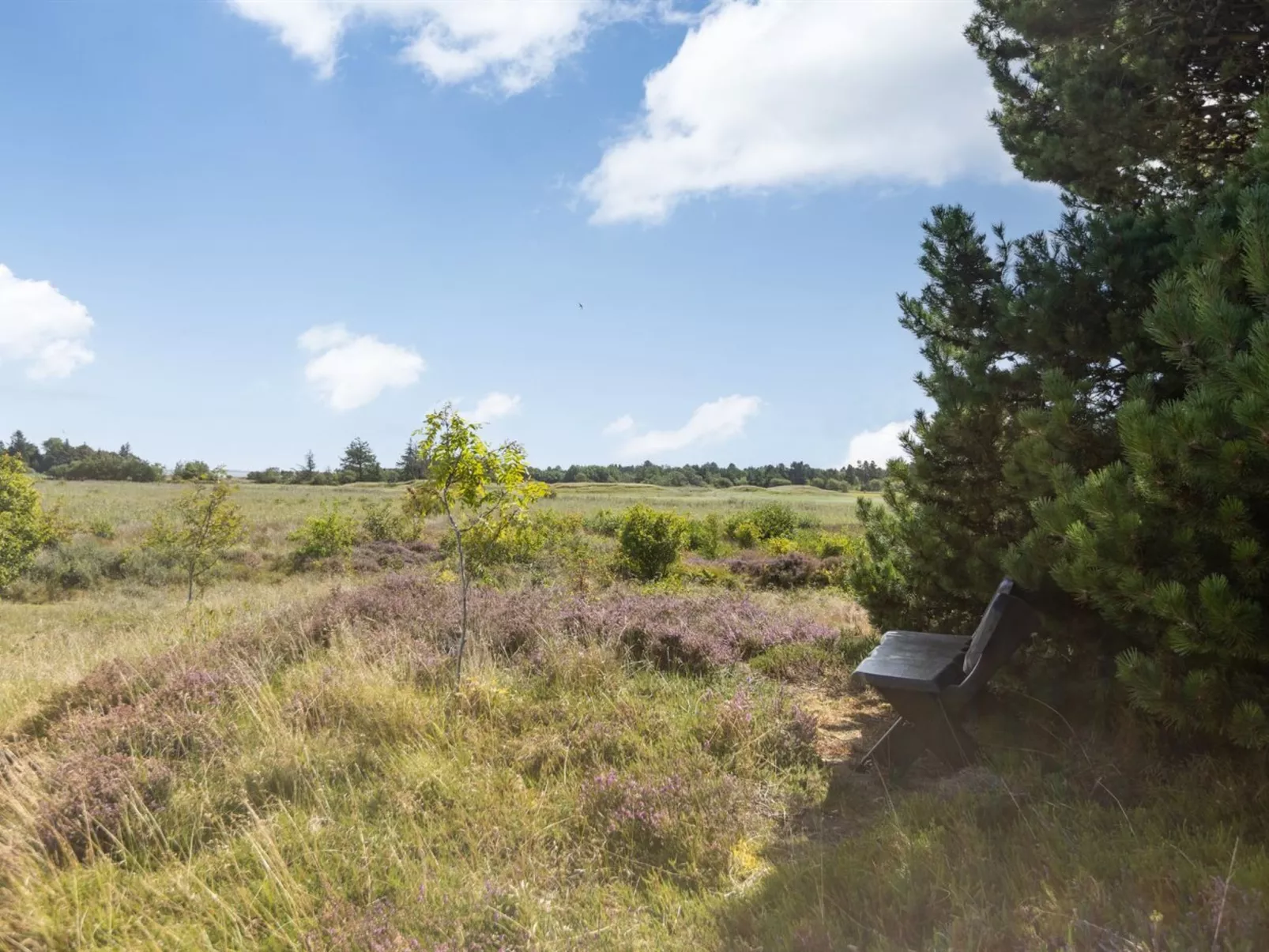 "Clare" - 4km from the sea-Buiten