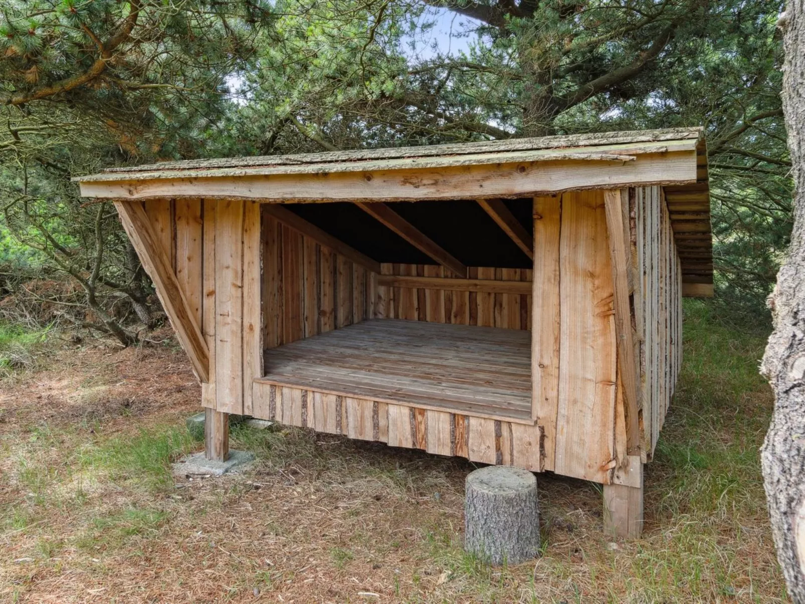 "Erlinda" - 3.1km from the sea-Buiten