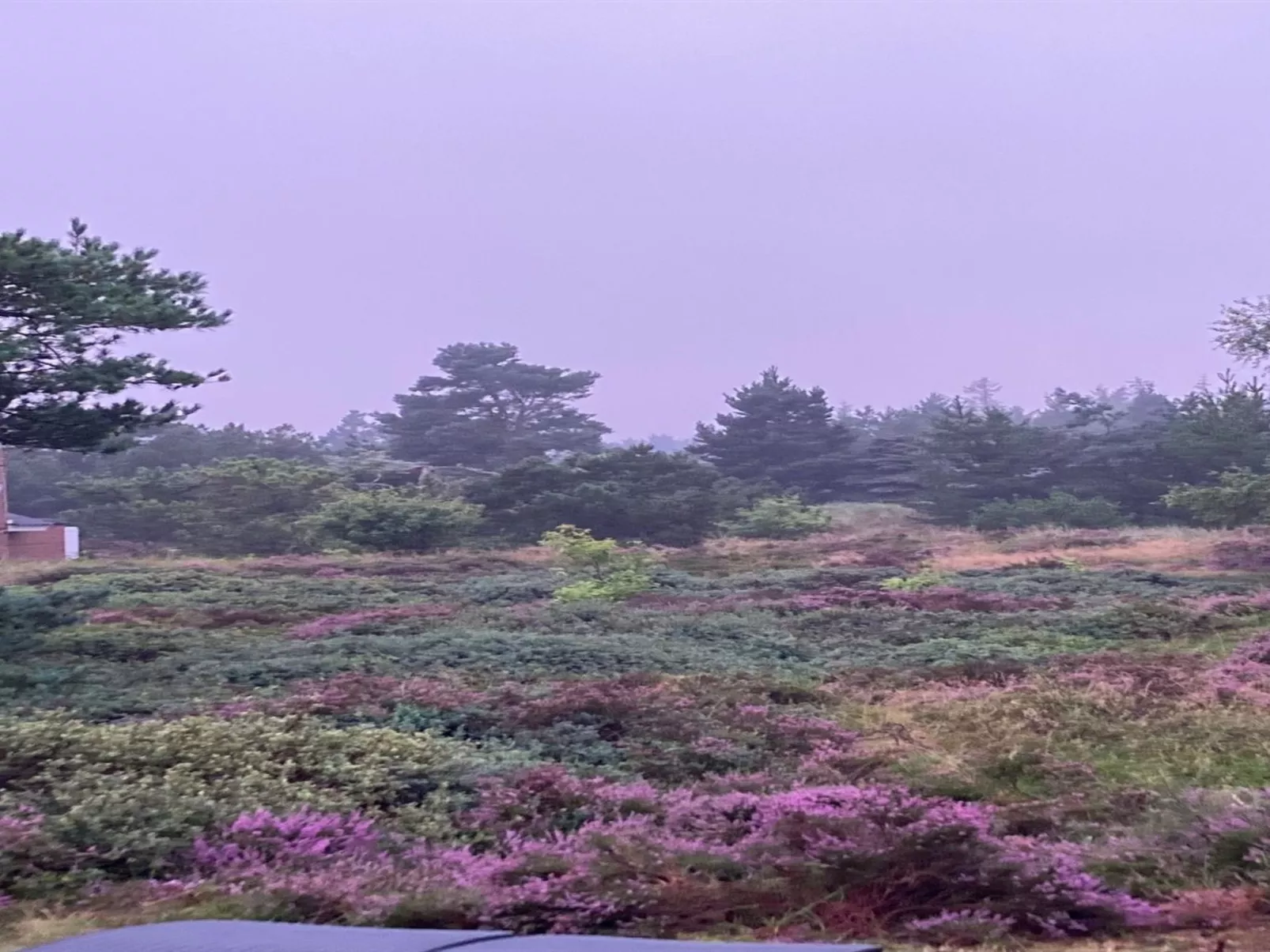 "Andriette" - 4.5km from the sea-Buiten