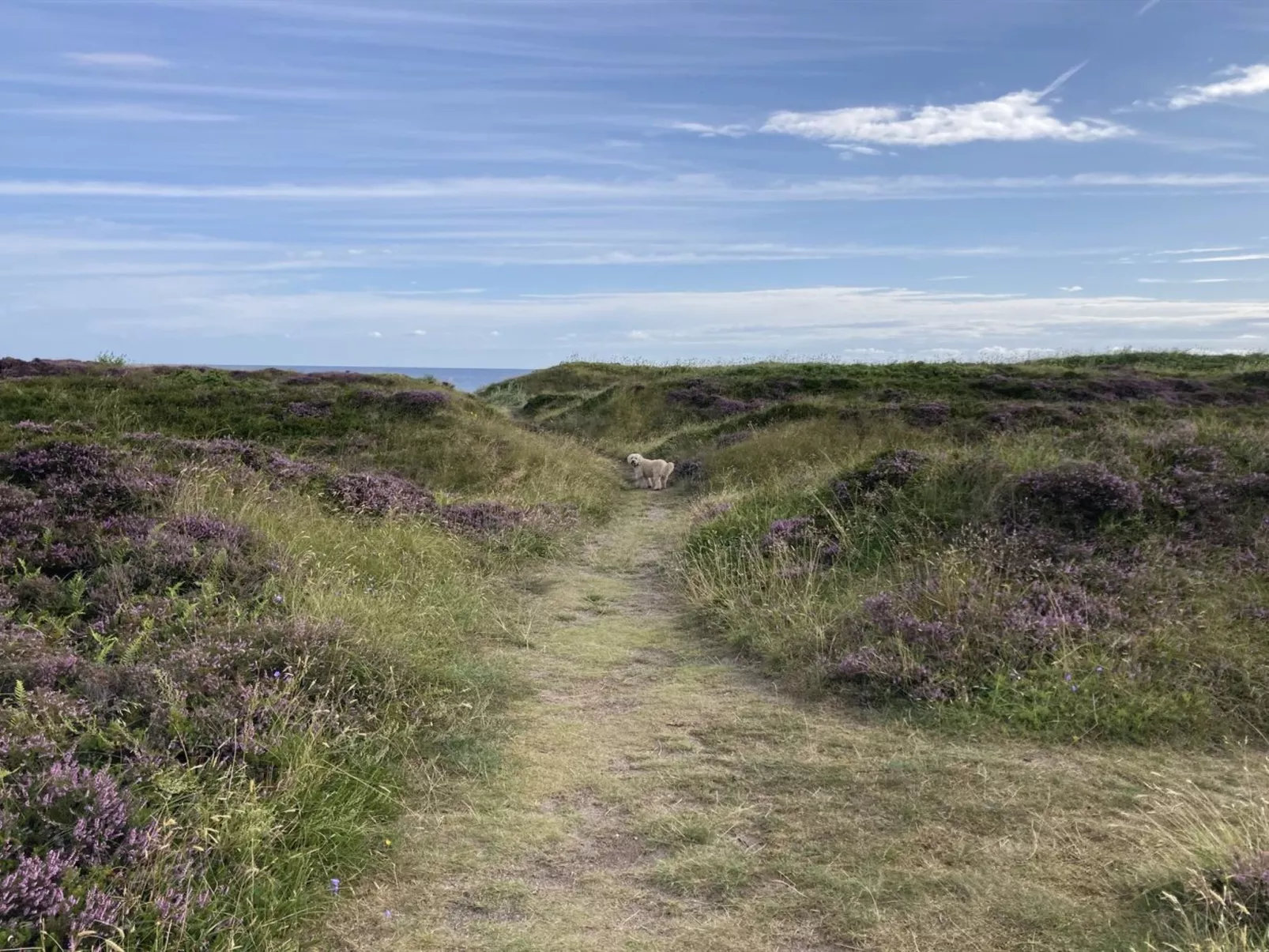 "Malte" - 75m from the sea-Buiten