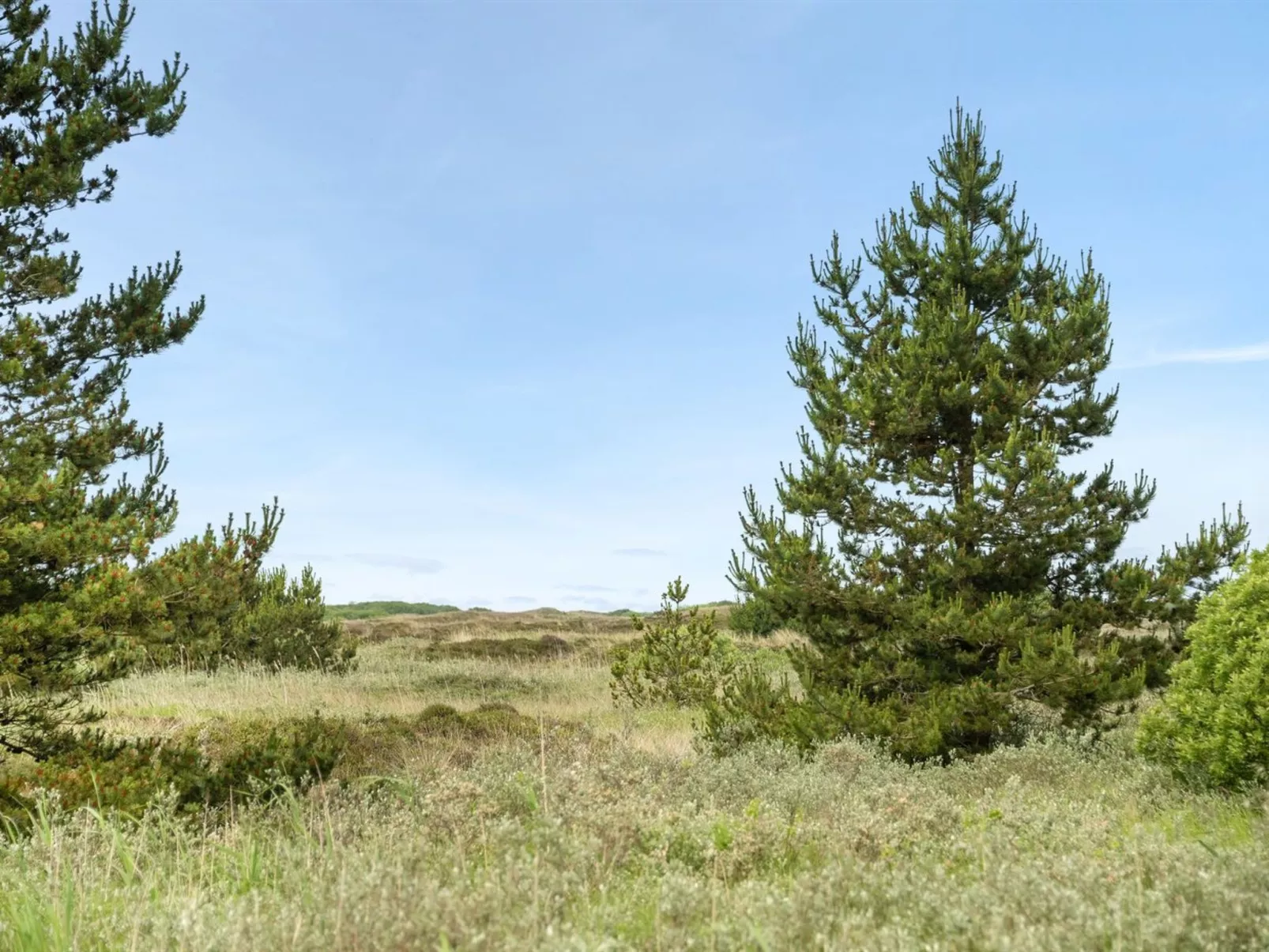 "Doria" - 2km from the sea-Buiten