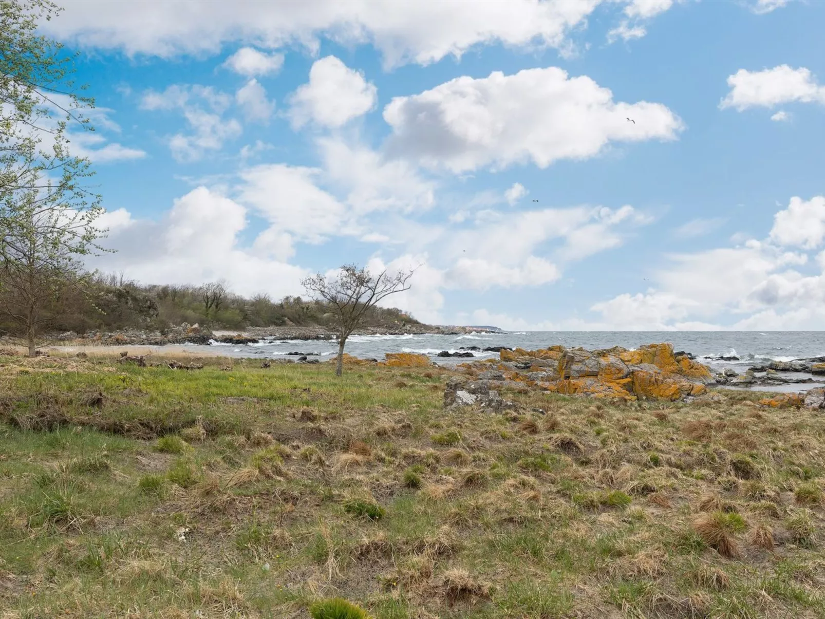 "Ensio" - 150m from the sea-Buiten