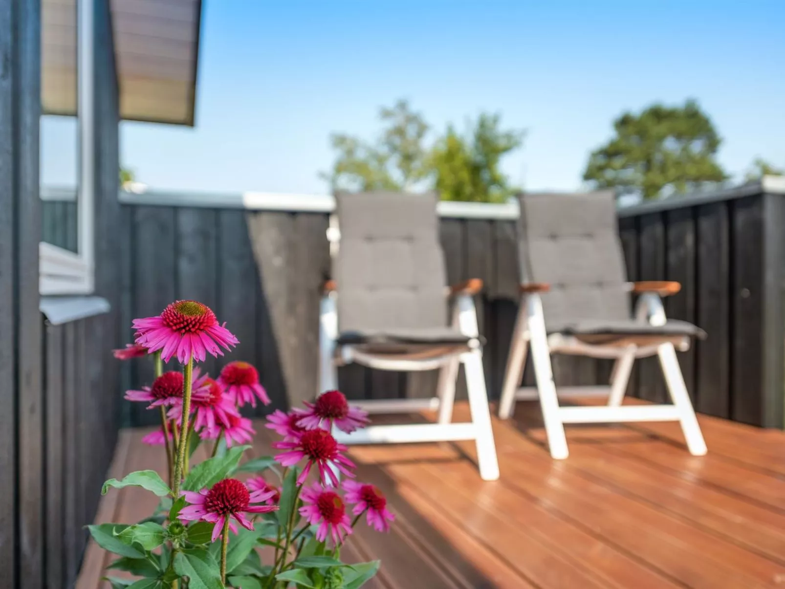 "Sighfrith" - 150m from the sea-Binnen