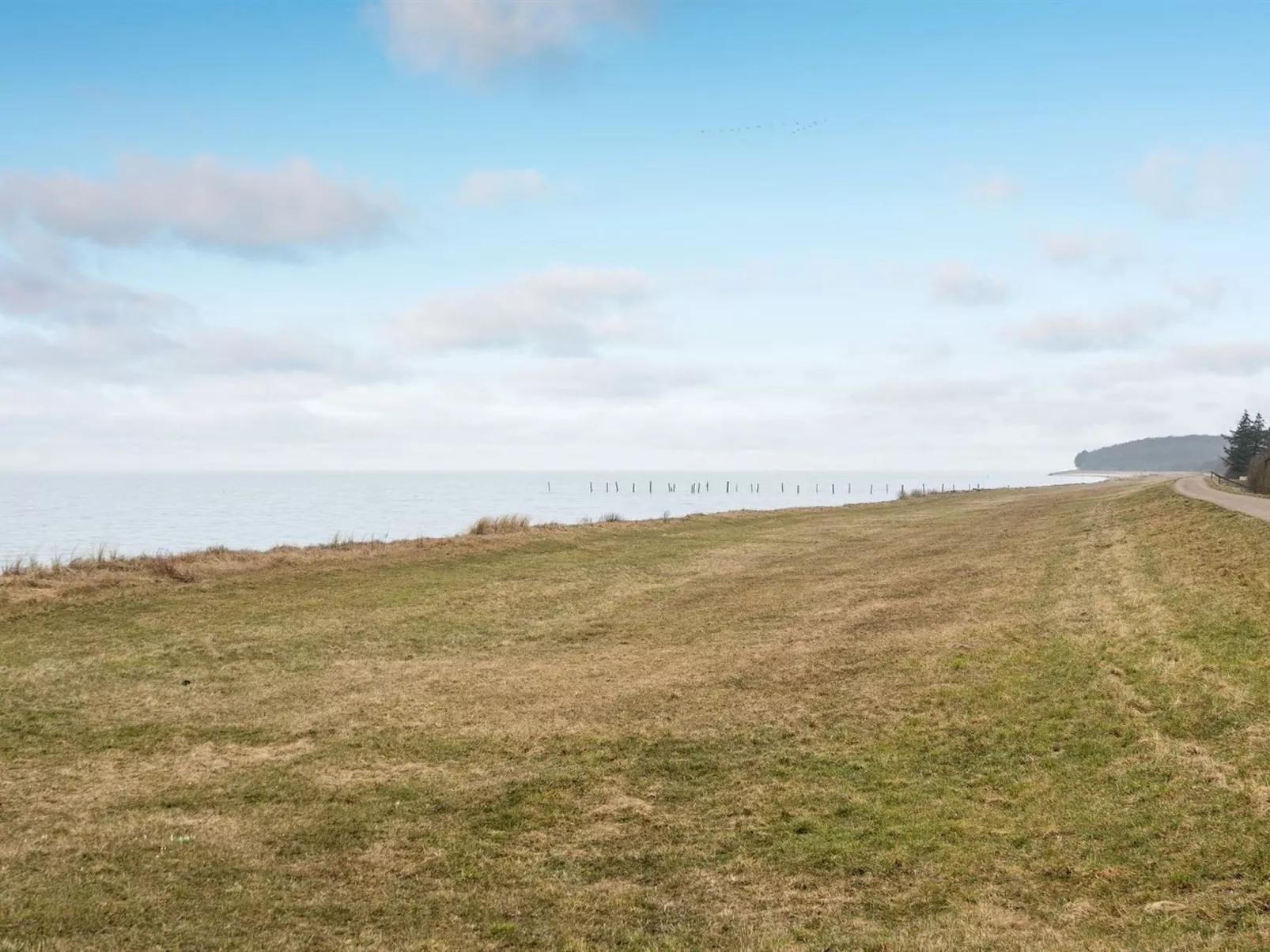 "Hattie" - 100m from the sea-Buiten