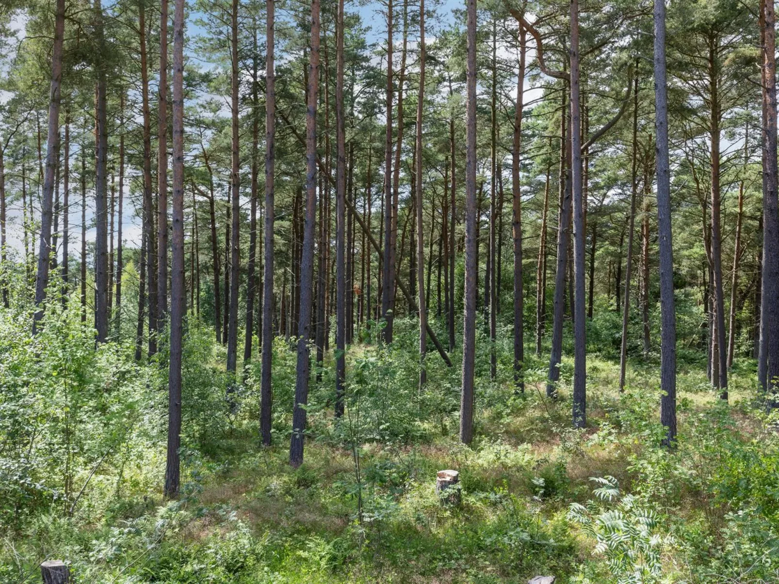 "Anarosa" - 200m from the sea-Buiten