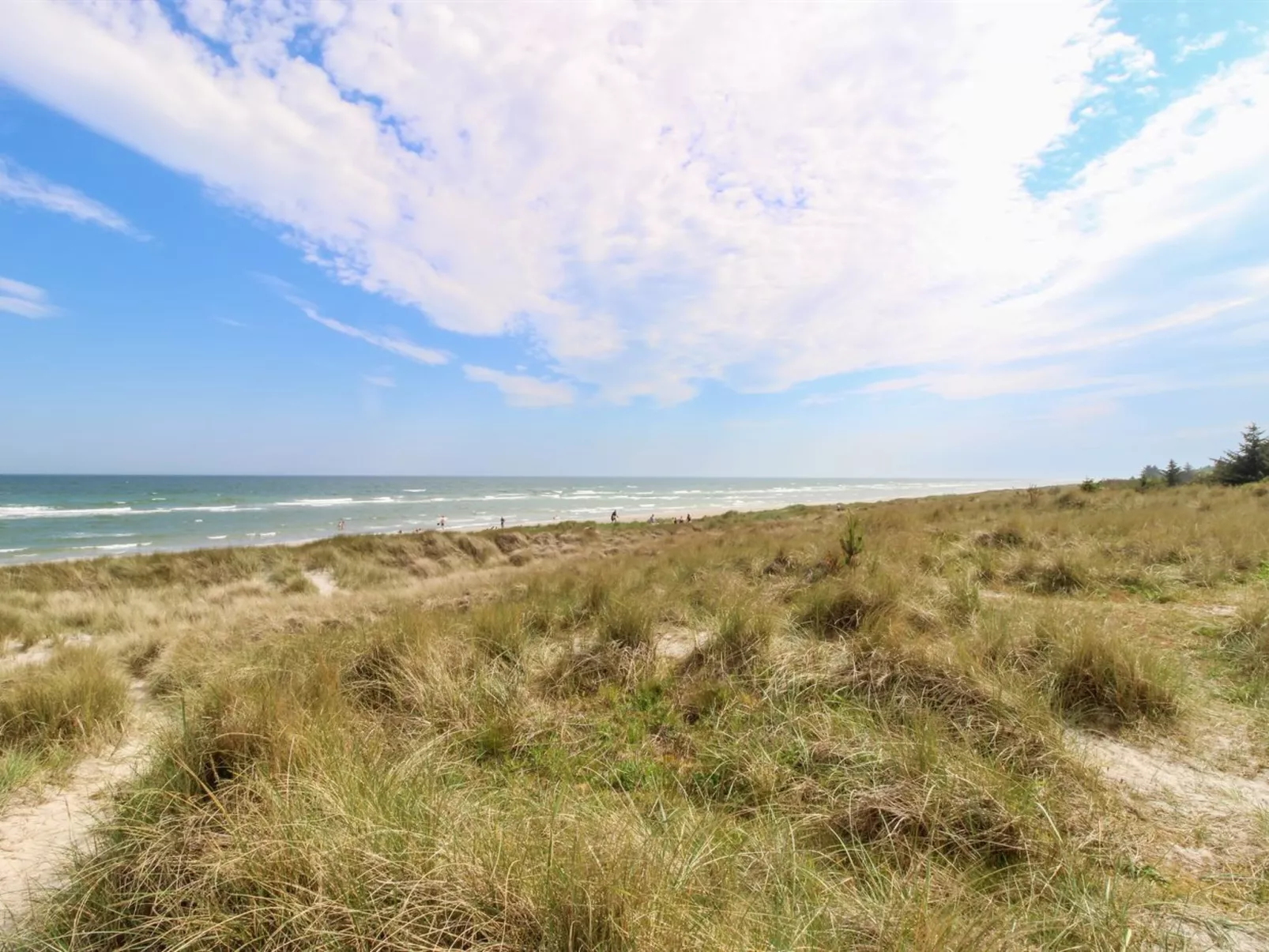 "Ingalise" - 500m from the sea-Buiten