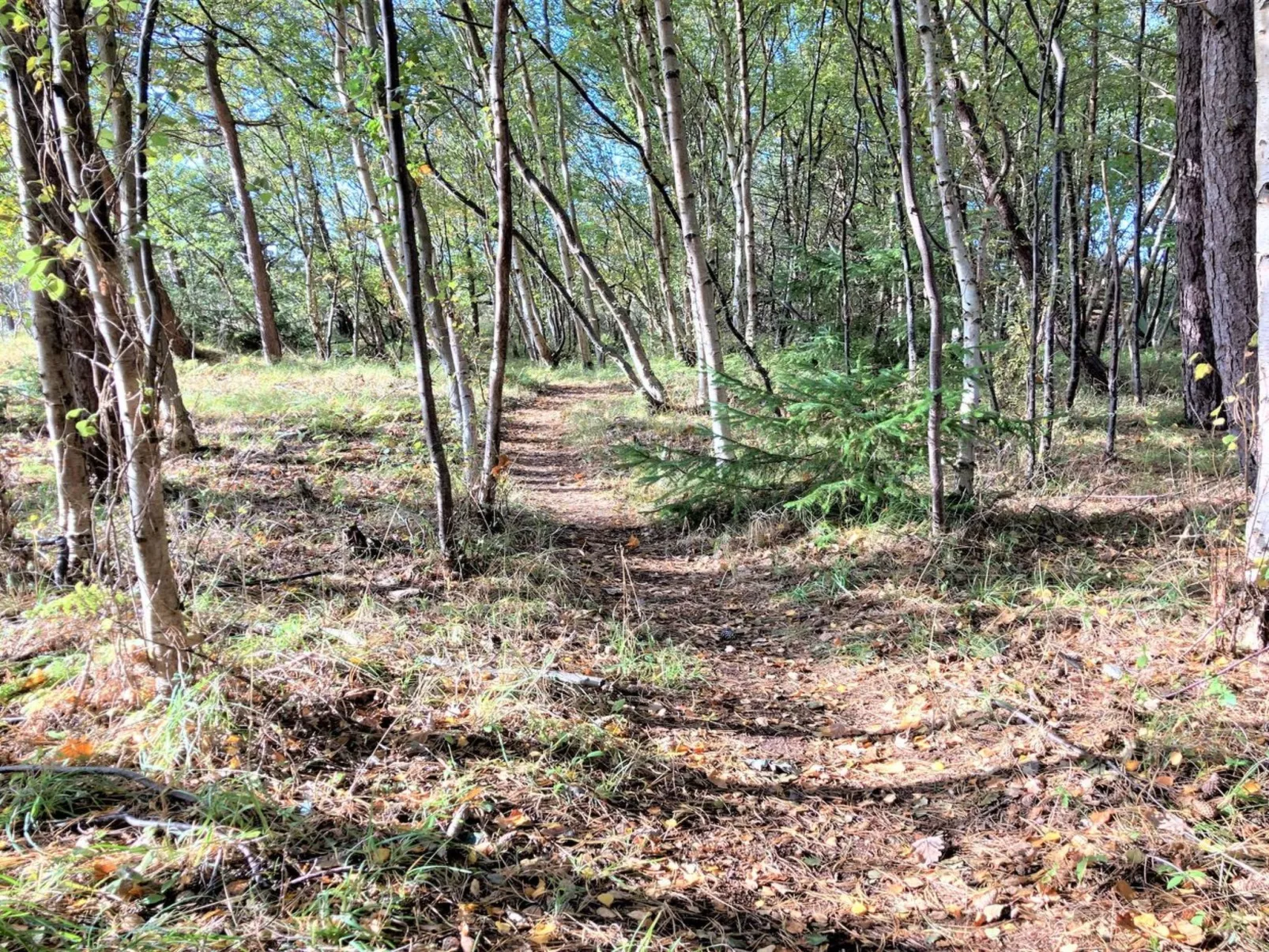 "Osa" - 150m from the sea-Buiten