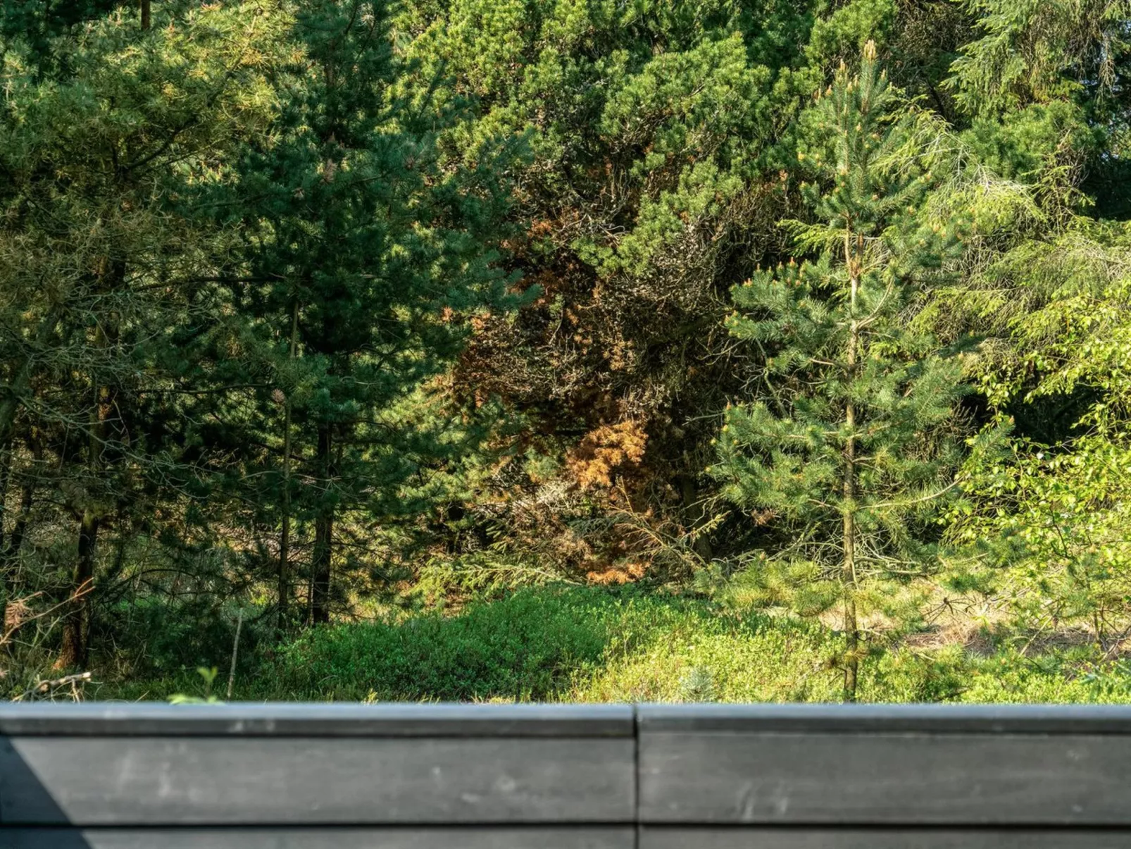 "Herborg" - 1km from the sea-Buiten