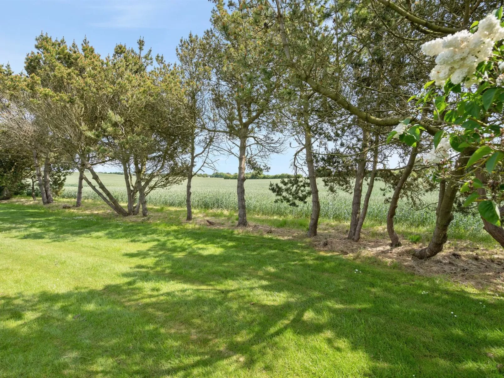 "Veljan" - 400m from the sea-Buiten