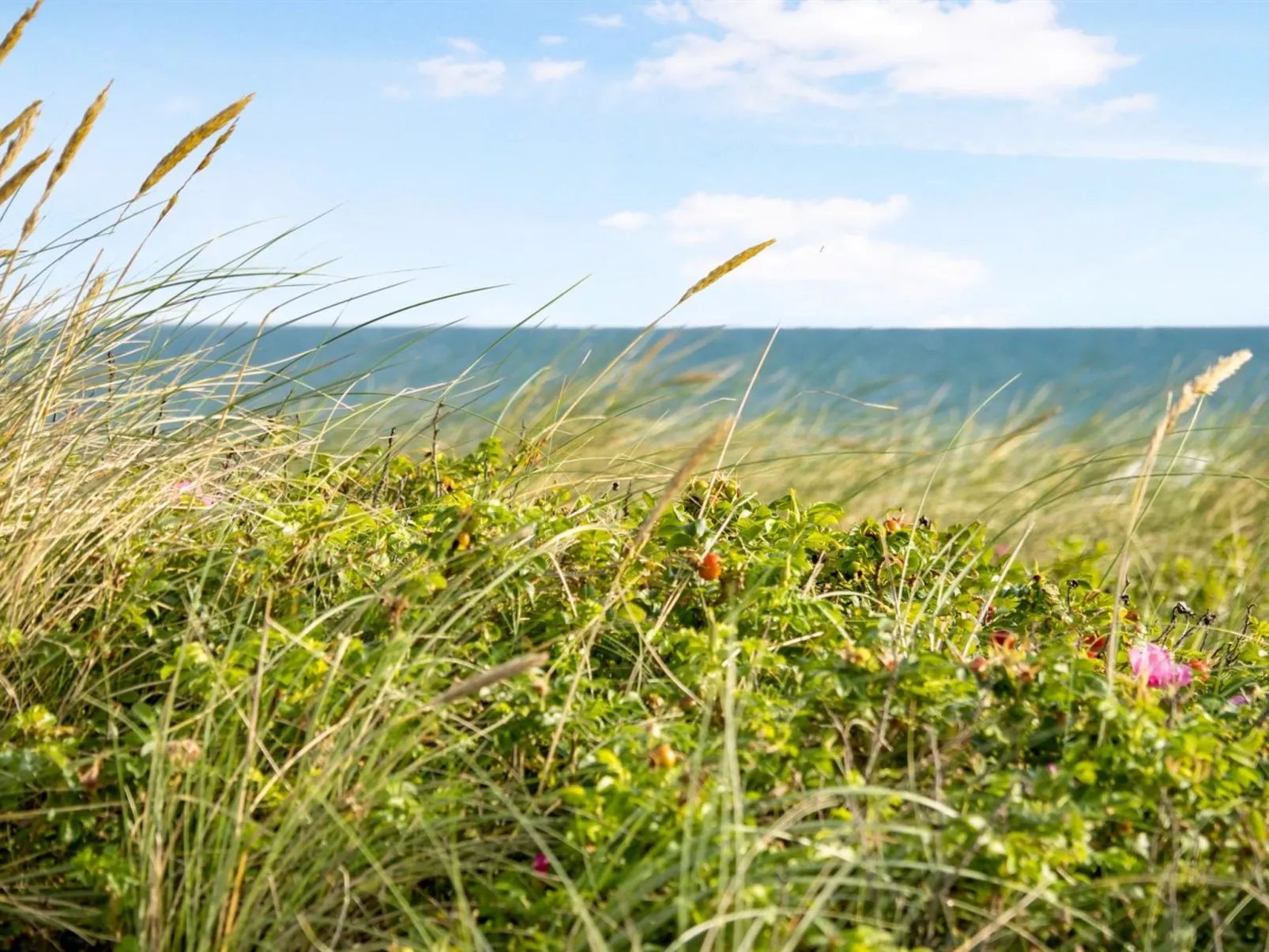 "Ebba" - 25m from the sea-Buiten