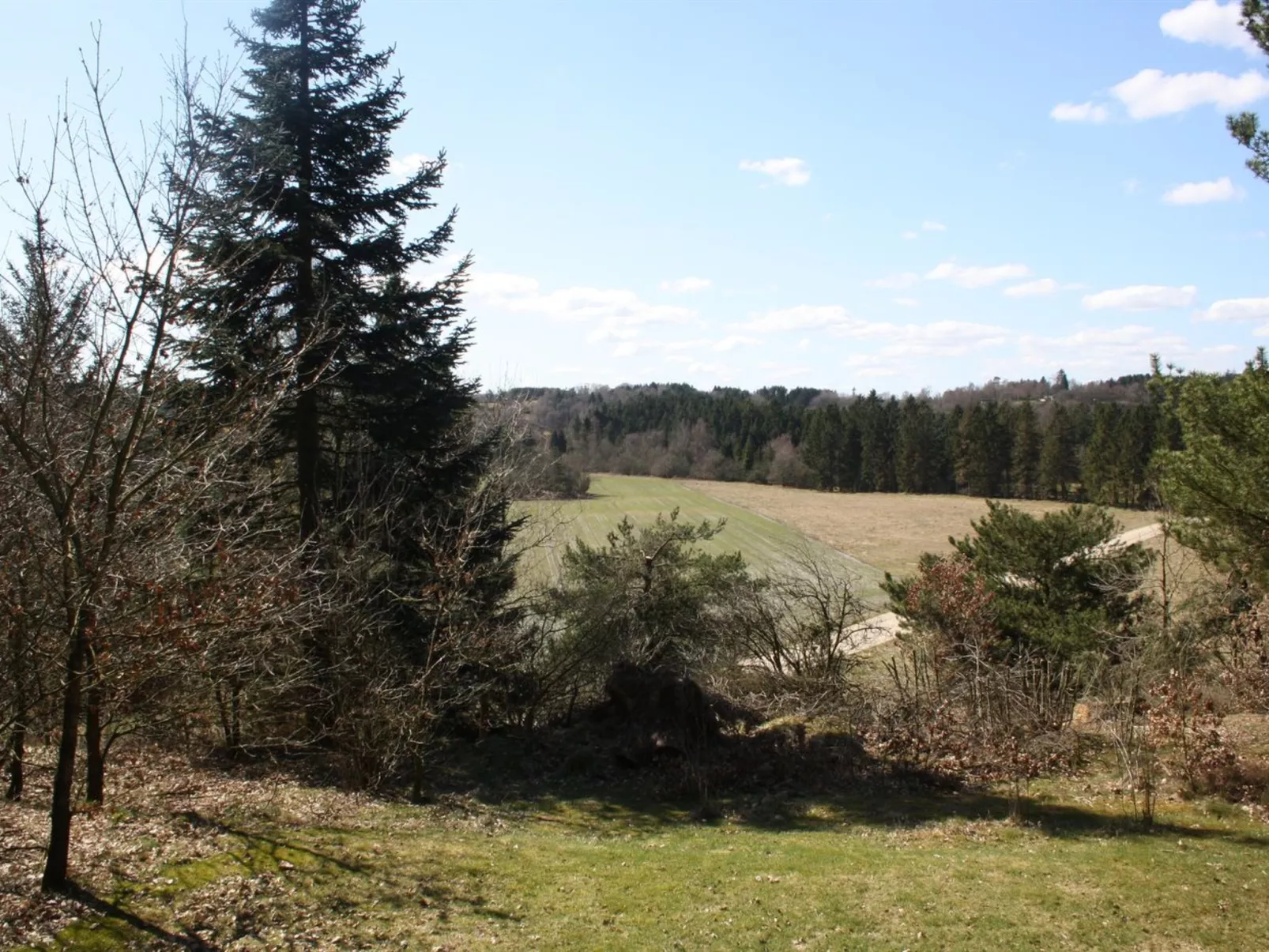 "Piia" - 800m from the sea-Buiten