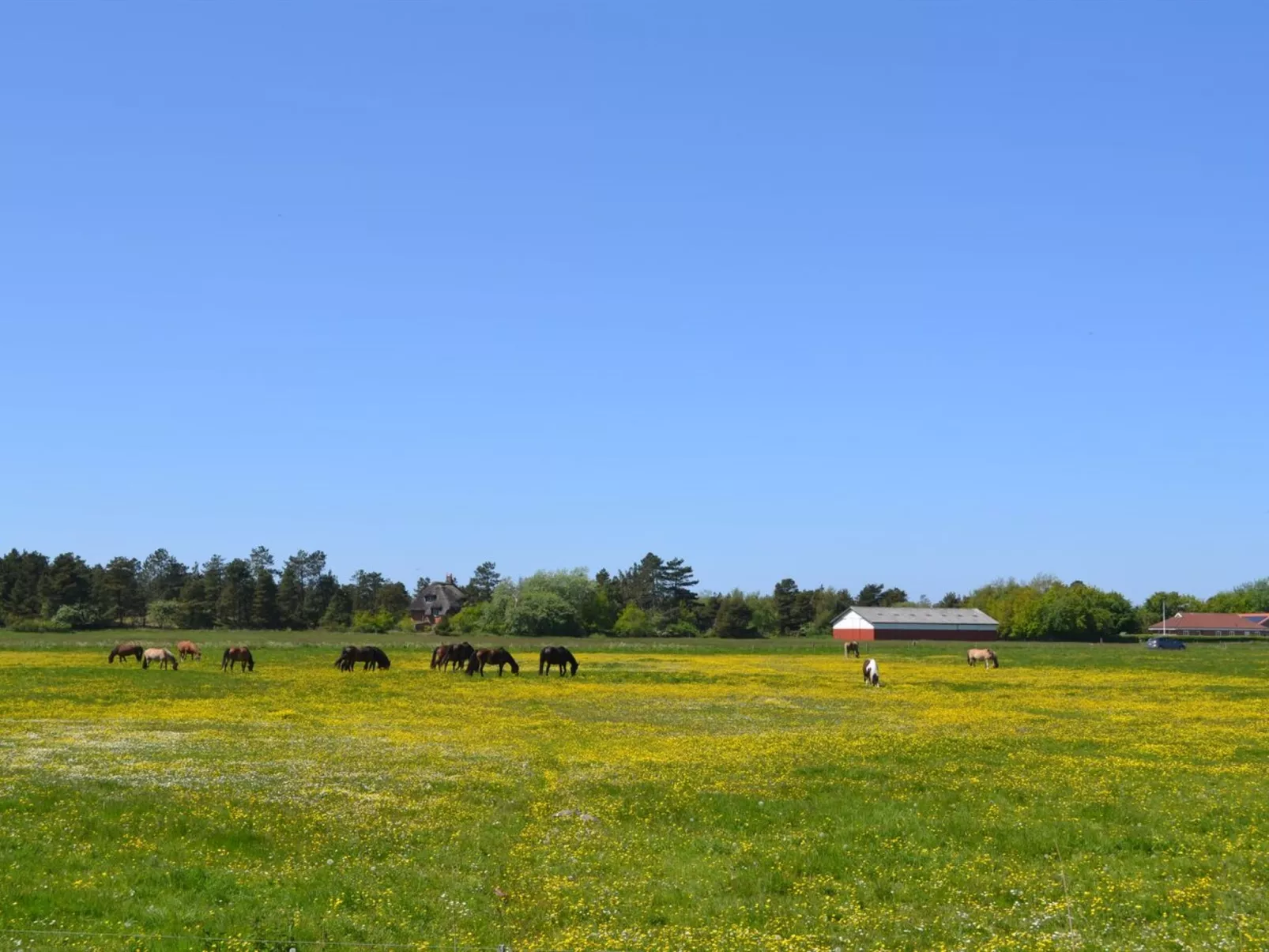 "Withulf" - 2.3km from the sea-Buiten