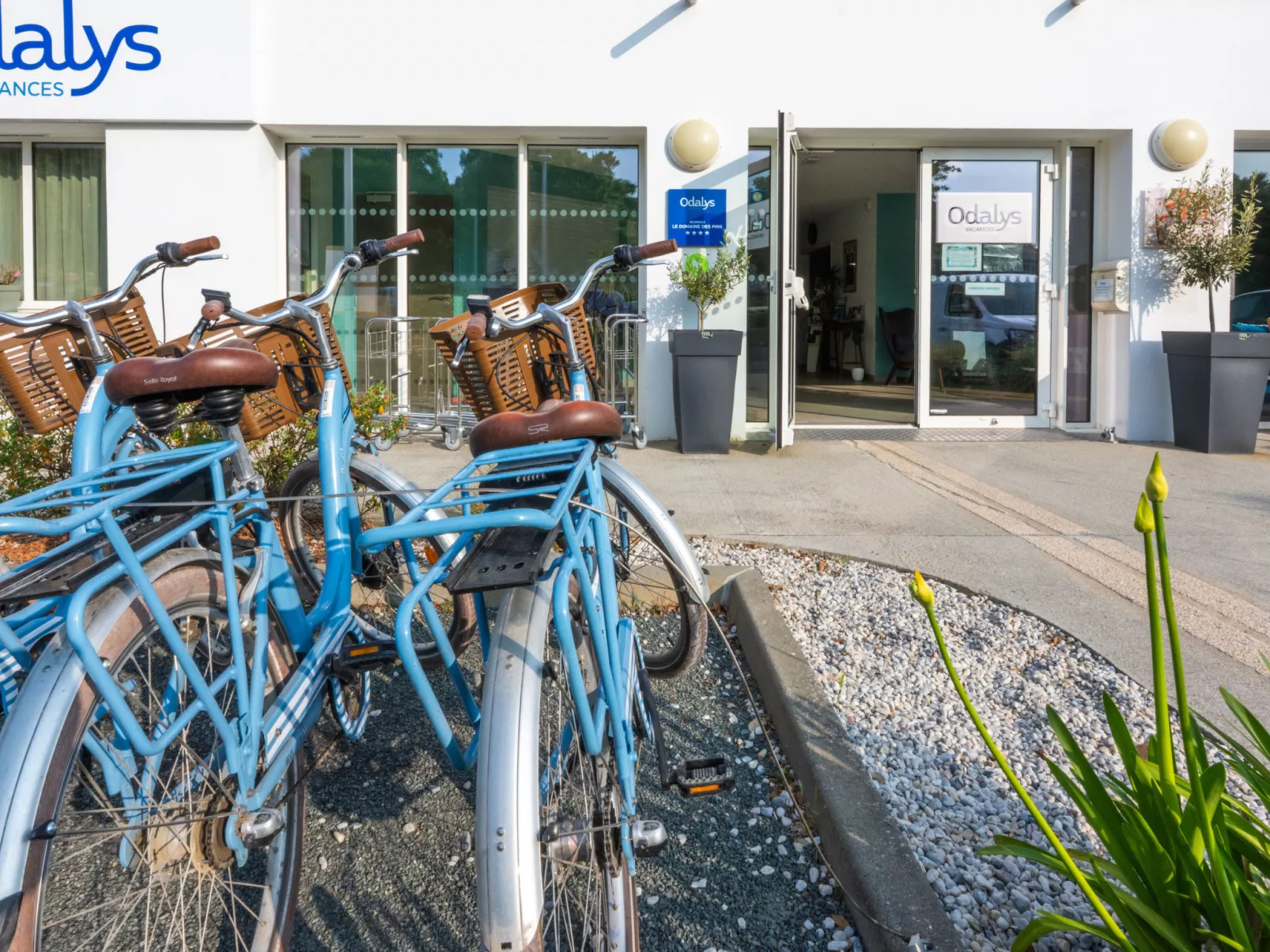  Odalys Collection Le Domaine des Pins-Binnen