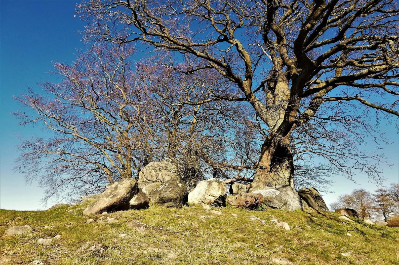 6 persoons vakantie huis in Vordingborg-By Traum-Niet-getagd