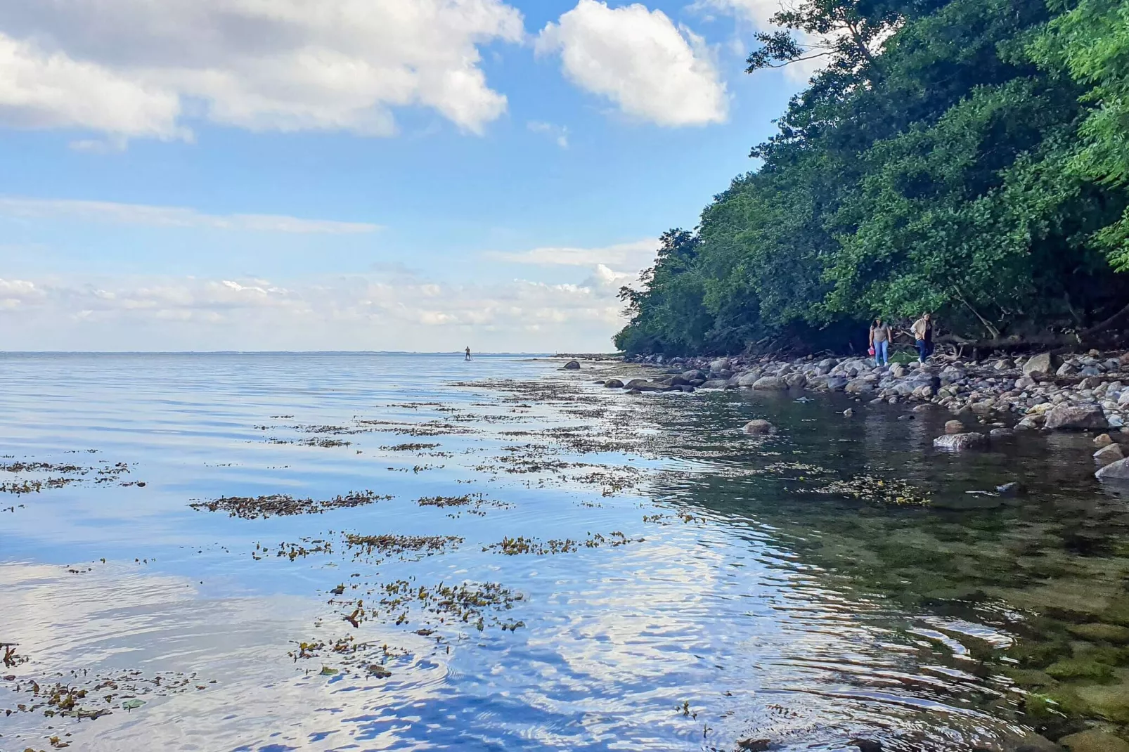 6 persoons vakantie huis in Aabenraa-By Traum-Waterzicht