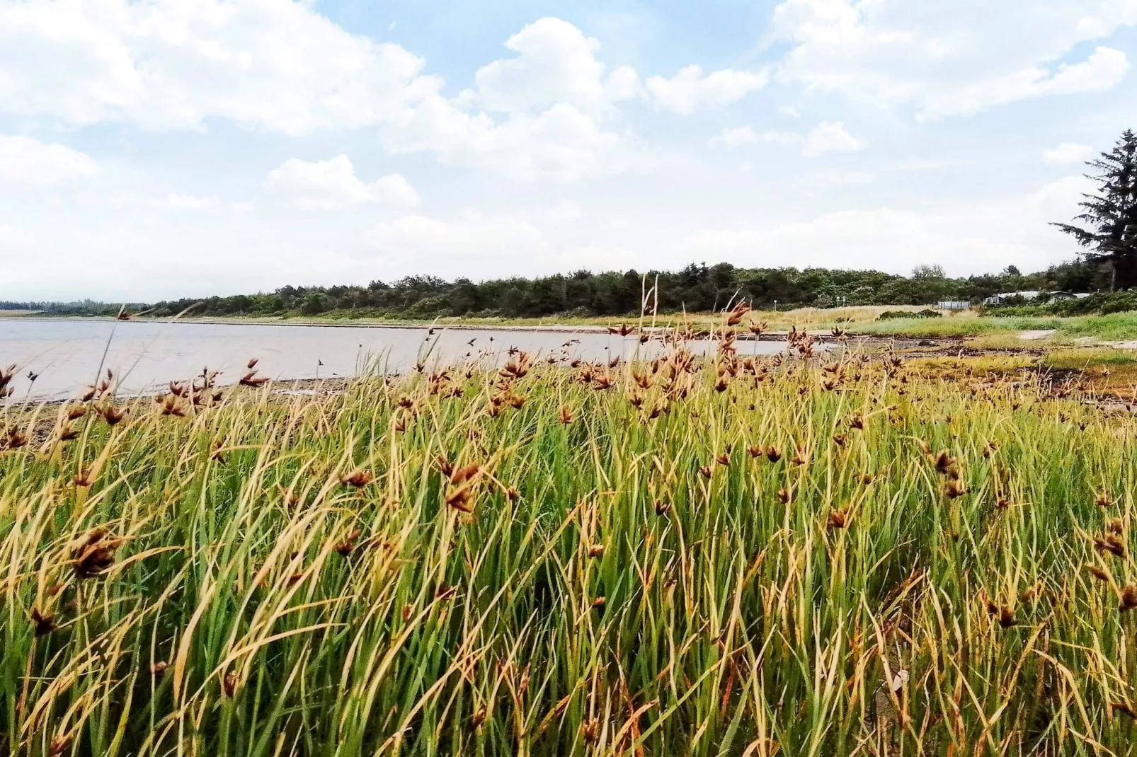 4 sterren vakantie huis in Farsø-By Traum-Waterzicht