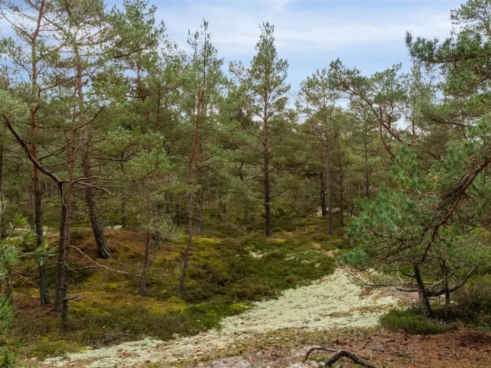 "Micaela" - 450m from the sea-Buiten