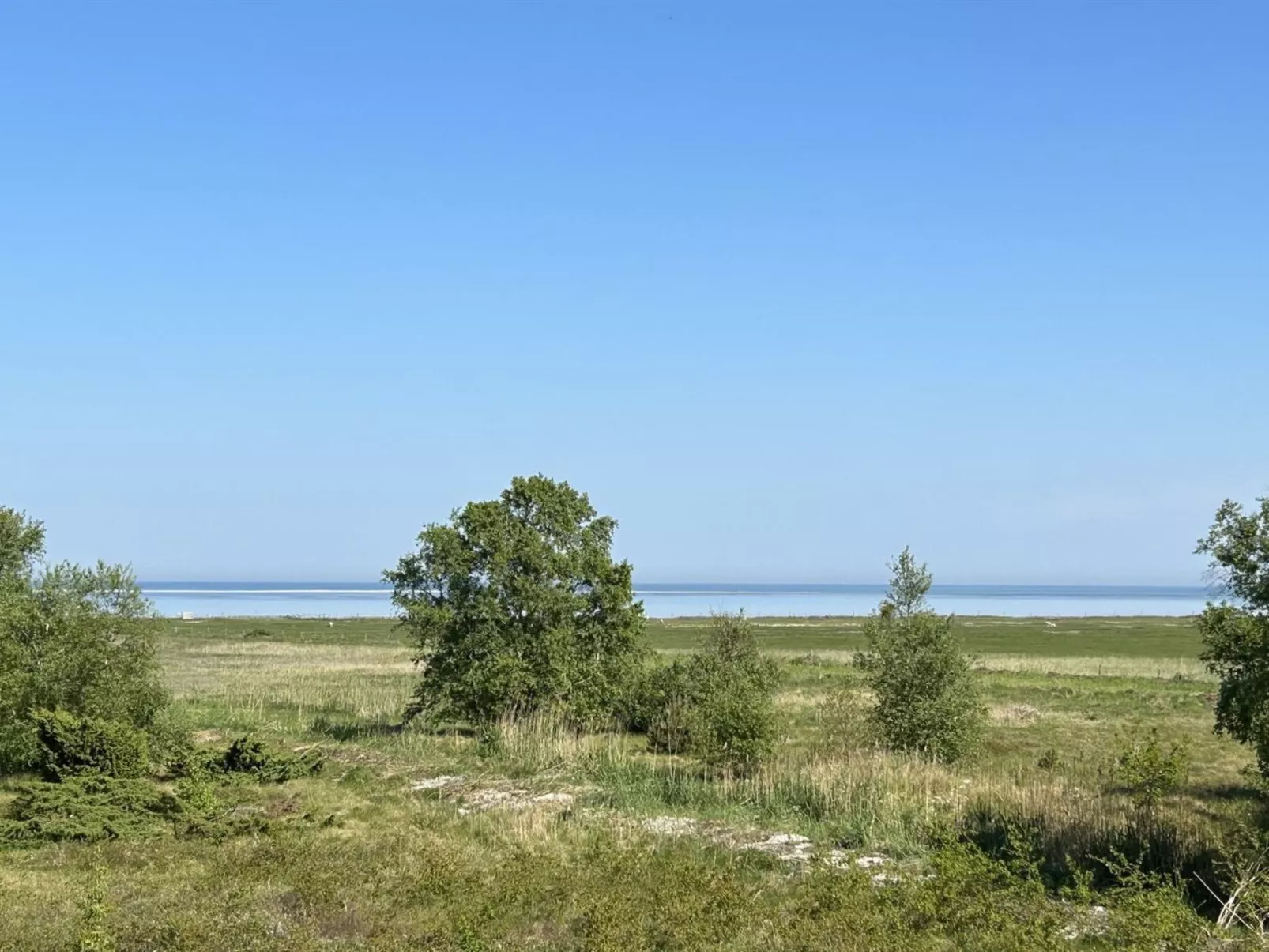 "Thorbiorn" -  from the sea-Buiten