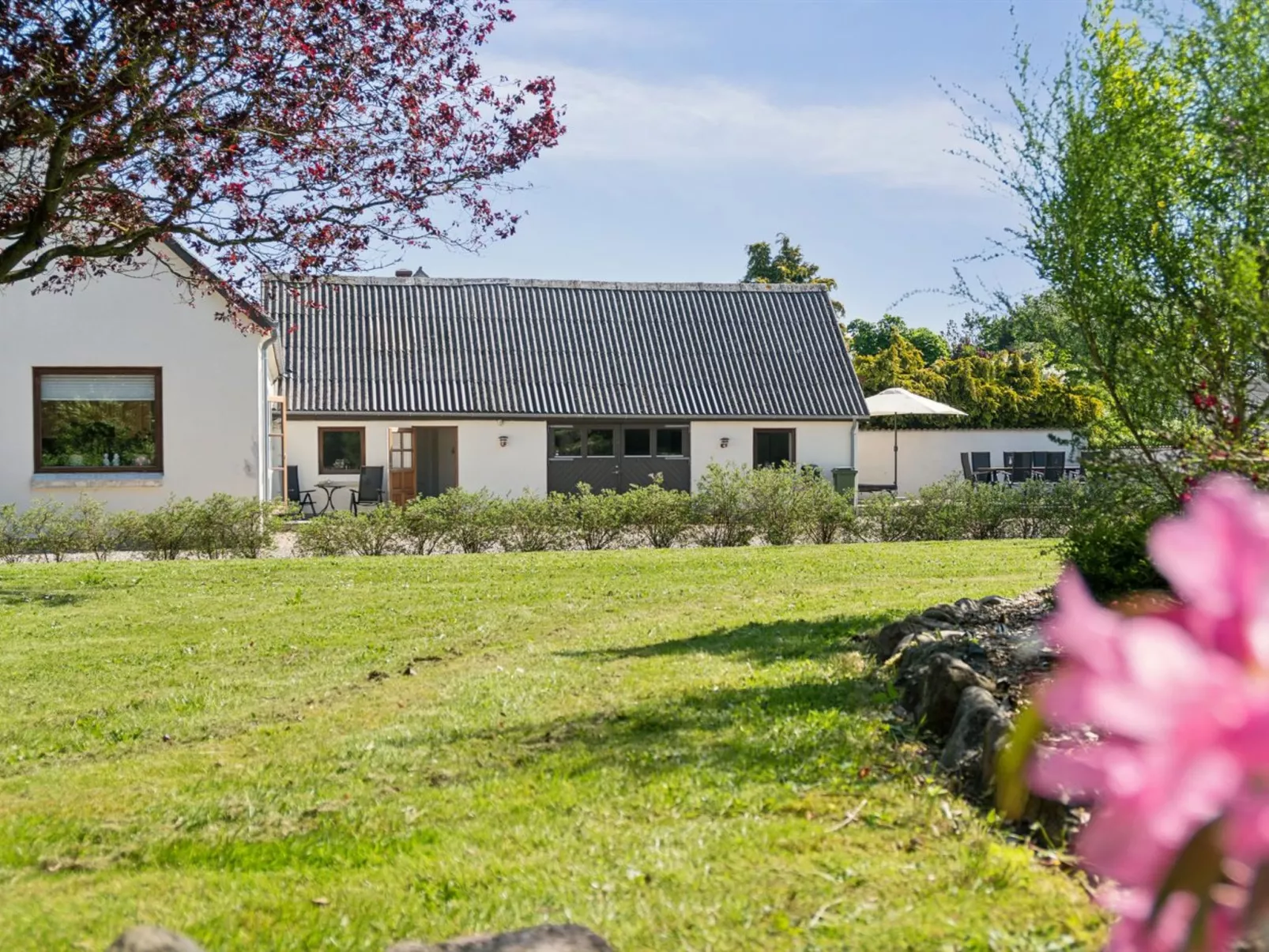 "Teodora" - 3km from the sea-Buiten