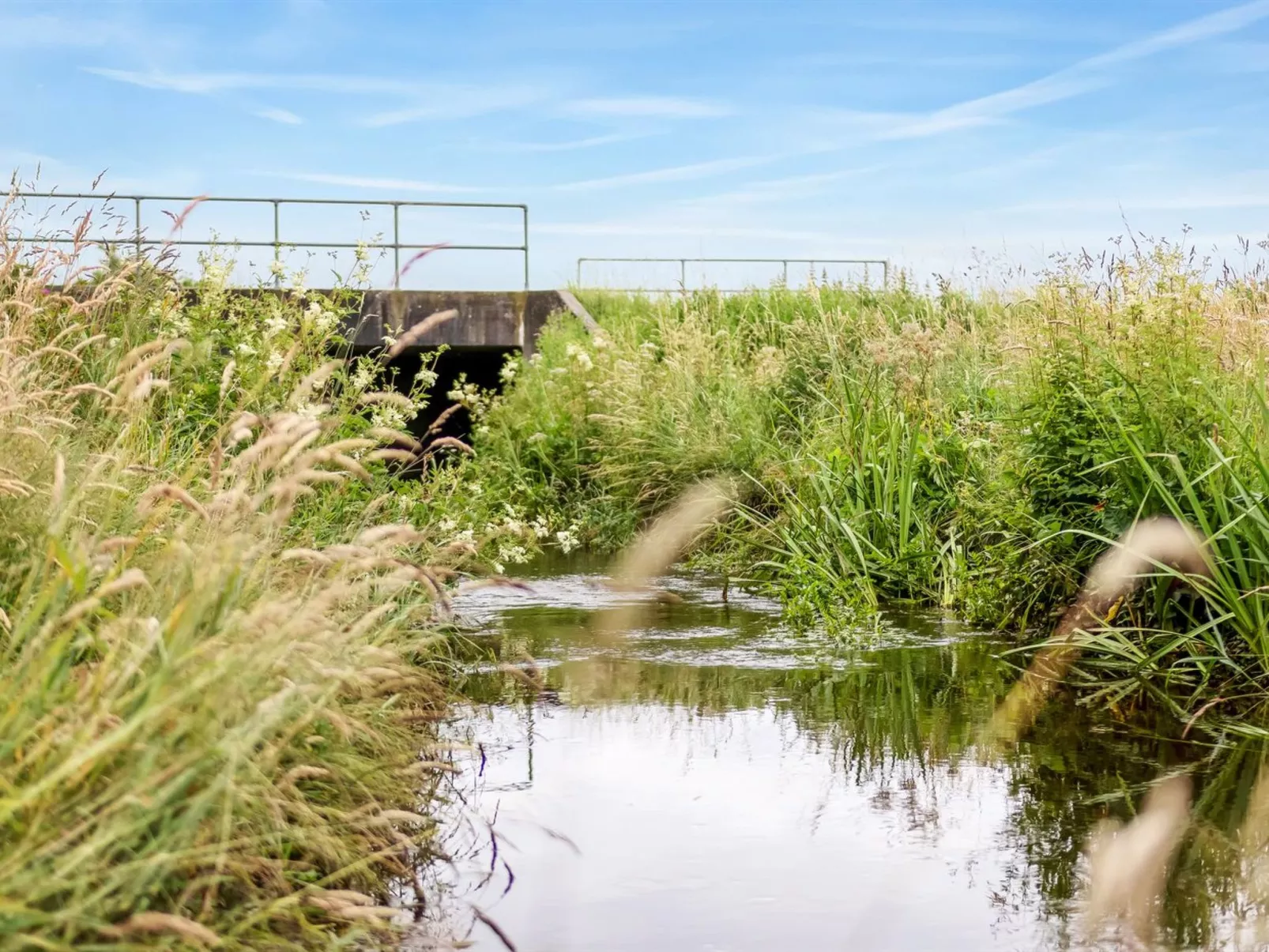 "Saran" - 30km from the sea-Buiten