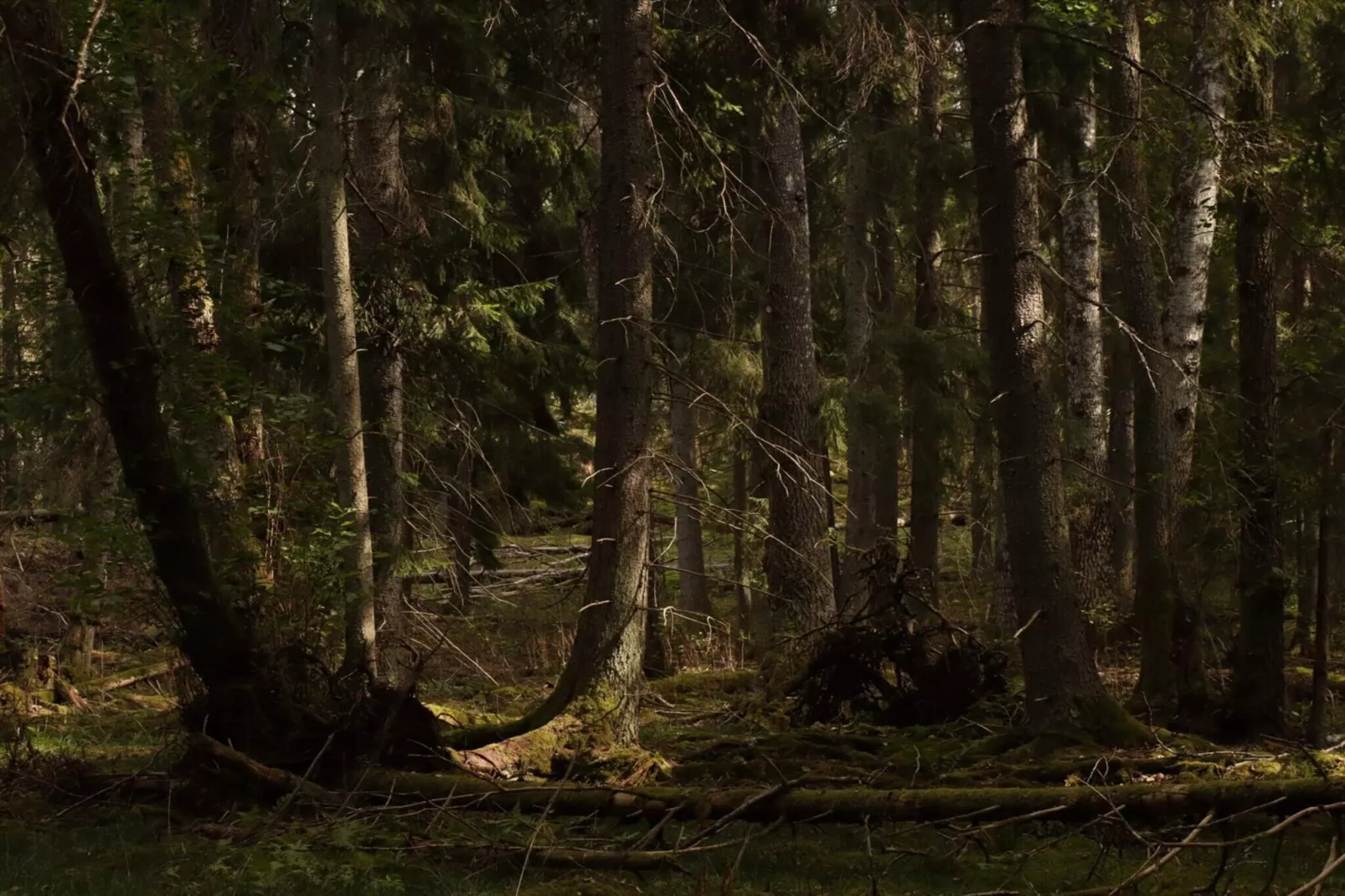 4 sterren vakantie huis in VÄRMDÖ-Niet-getagd