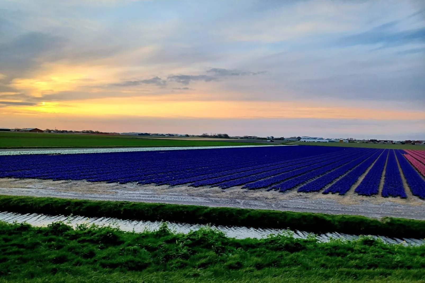 Vossehoeck 2-Gebieden zomer 5km