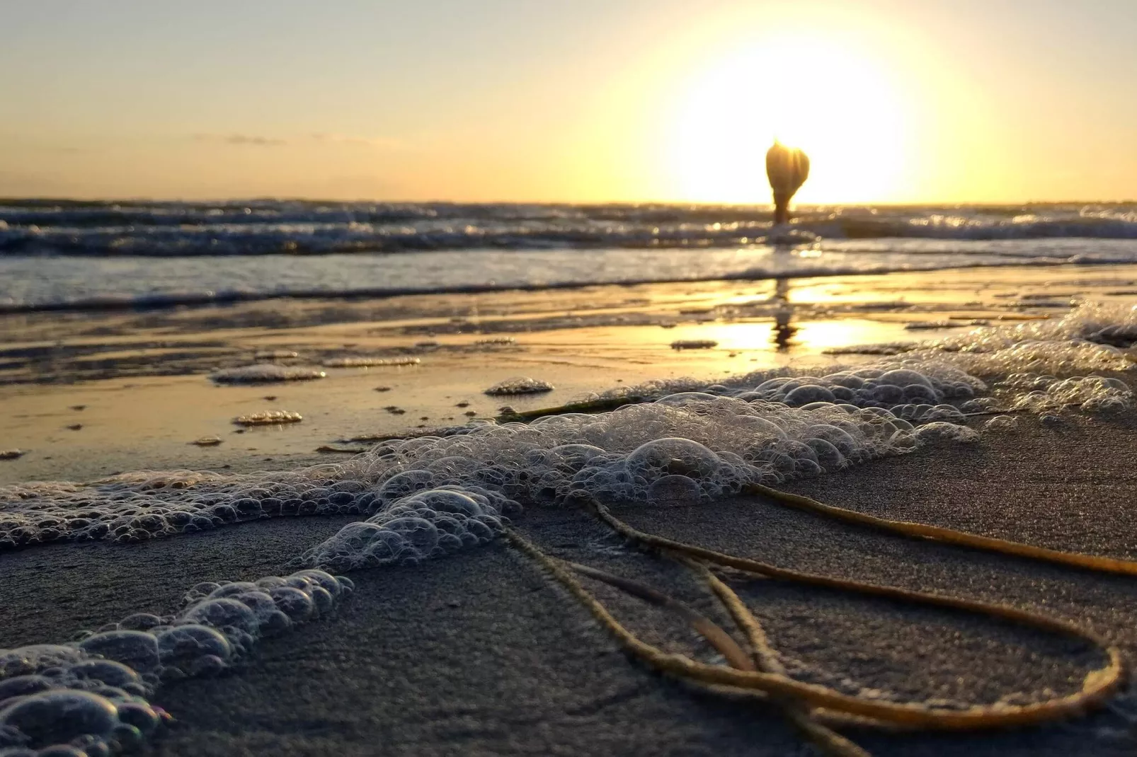 Gezellig toevluchtsoord in Stenstrup -- By Traum Ferienwohnungen-Waterzicht