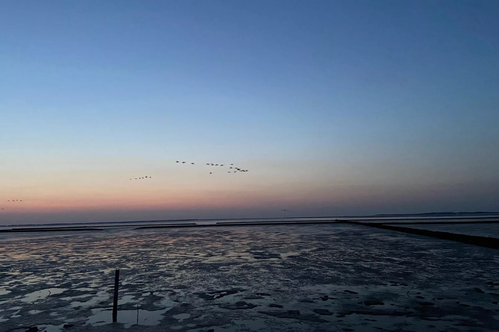 Doppelhaushälfte Wattwurm 34-Gebieden zomer 5km