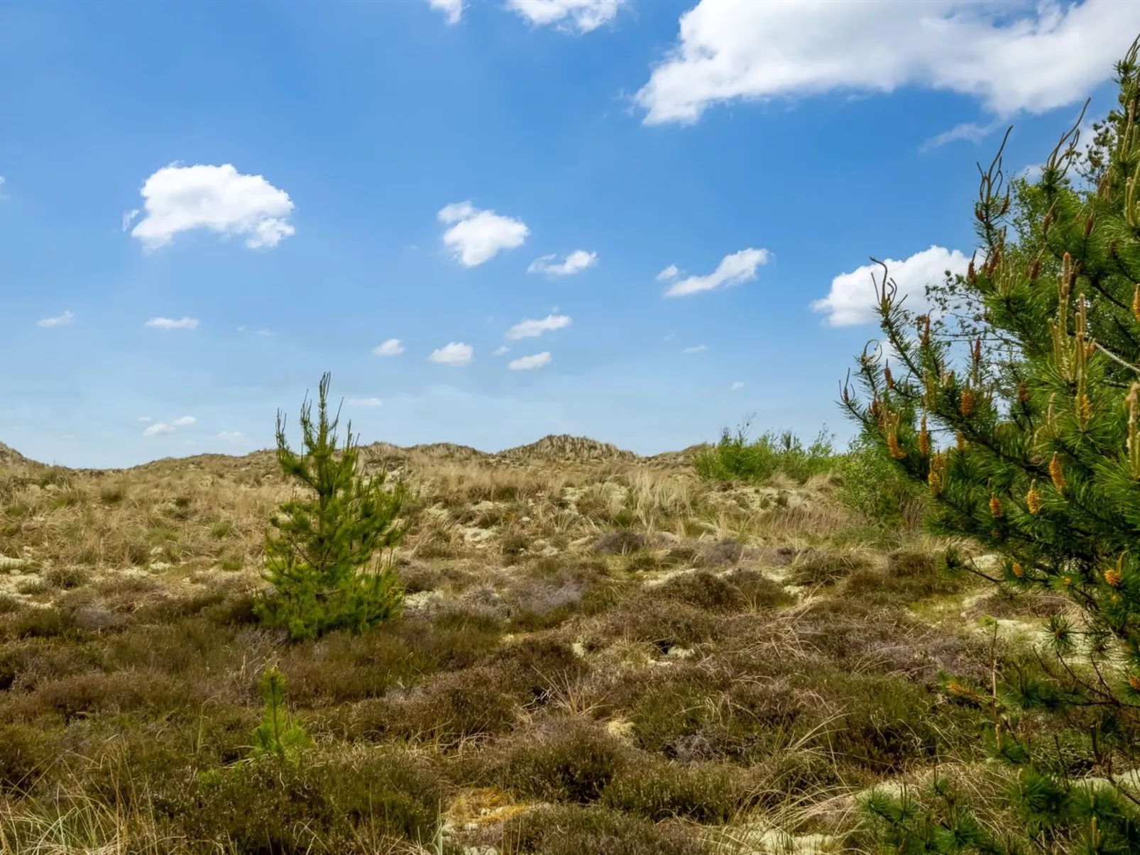 "Kimi" - 75m from the sea-Buiten