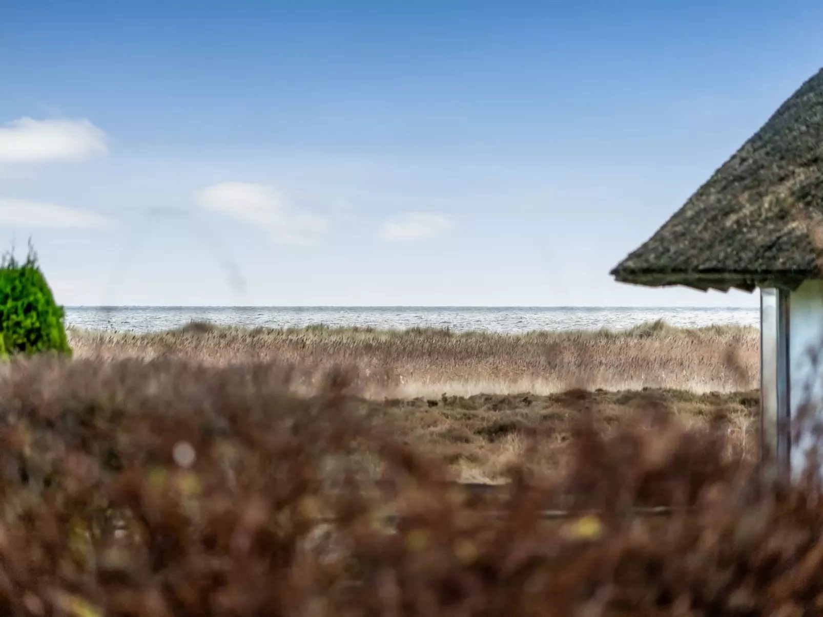 "Bent" -  from the sea-Buiten