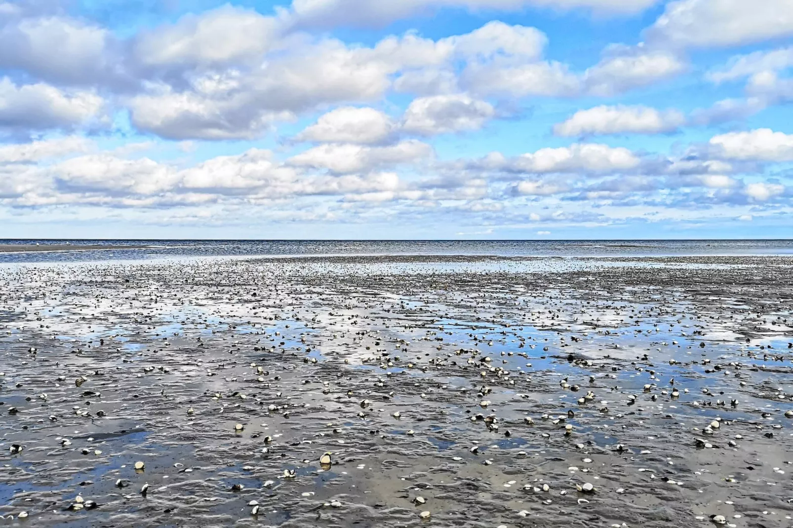 7 Personen vakantie huis in Hadsund-Waterzicht