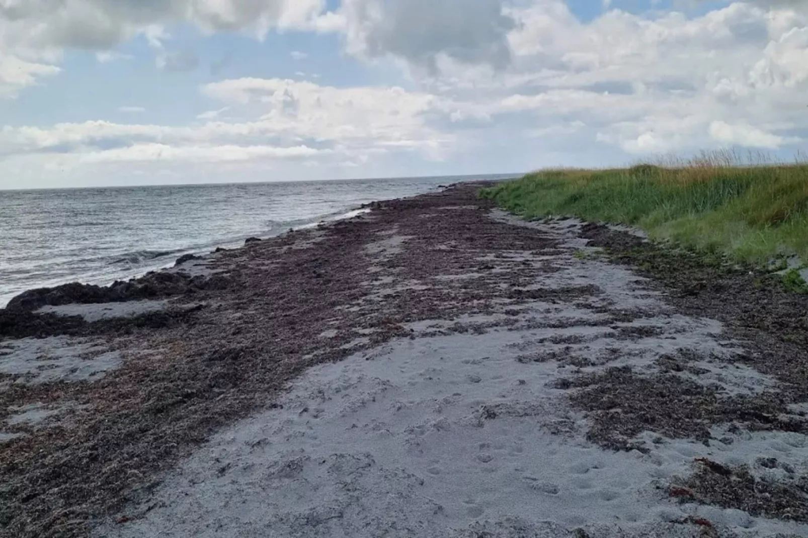 5 sterren vakantie huis in Læsø-Waterzicht