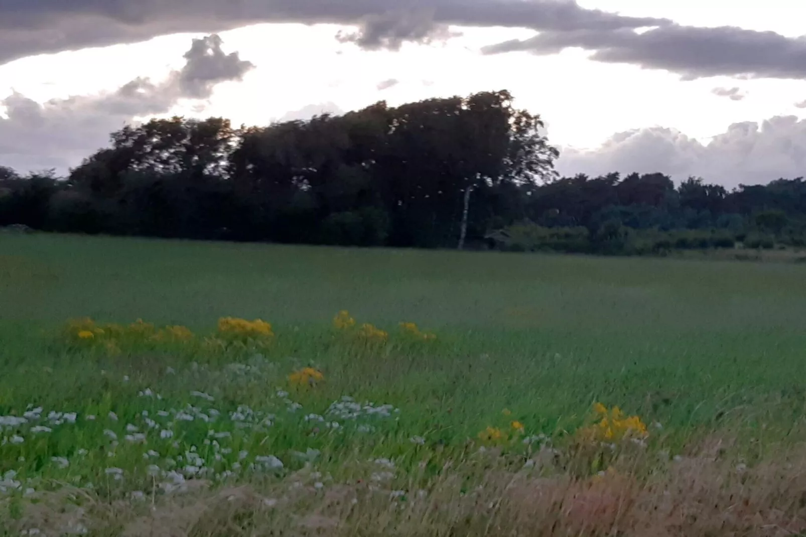 5 Personen vakantie huis in FALKENBERG-Niet-getagd