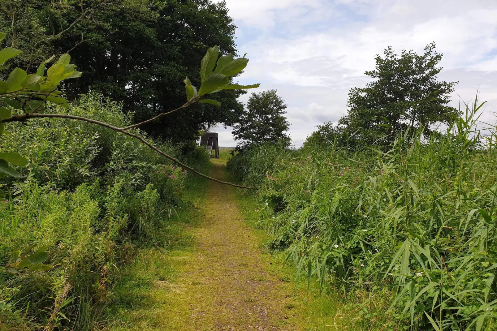 Vreedzame hut in Ebeltoft-Niet-getagd
