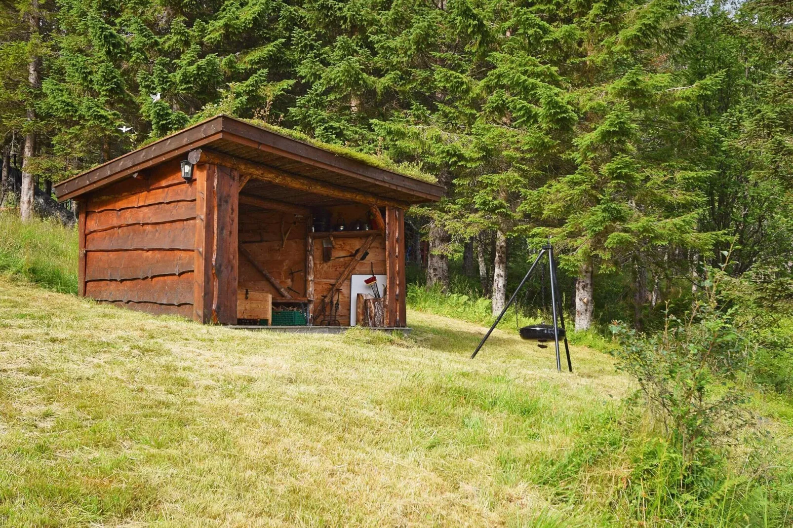 6 persoons vakantie huis in Sandhornøy-Buitenlucht