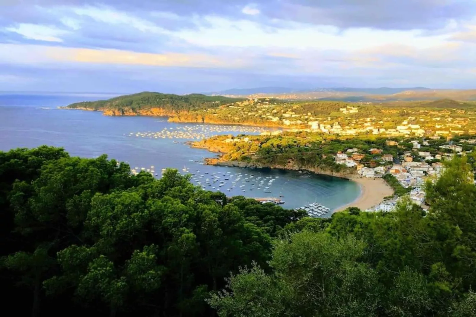 Pastora 2-Gebieden zomer 20km