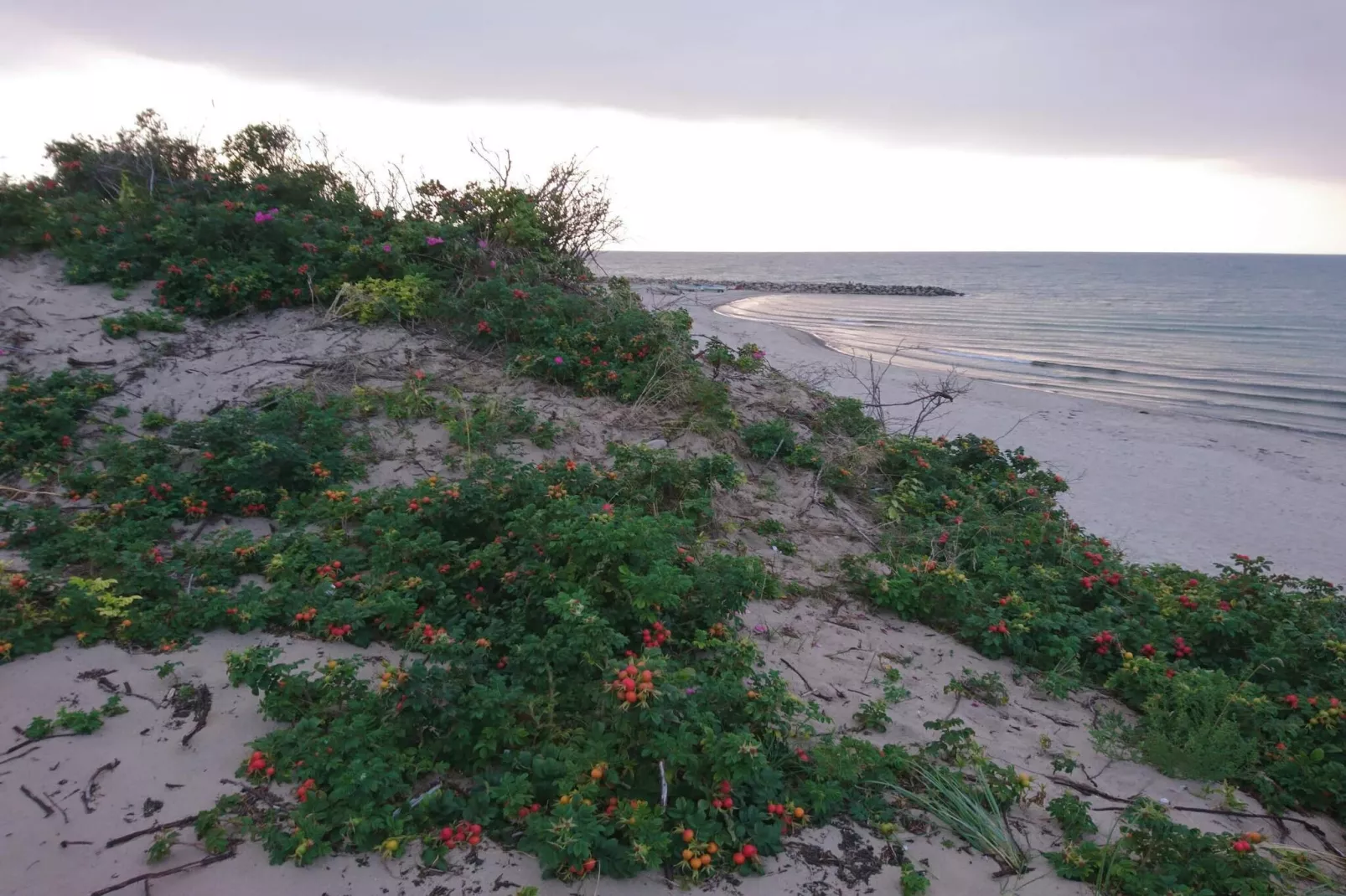 5 sterren vakantie huis in Liseleje-Waterzicht