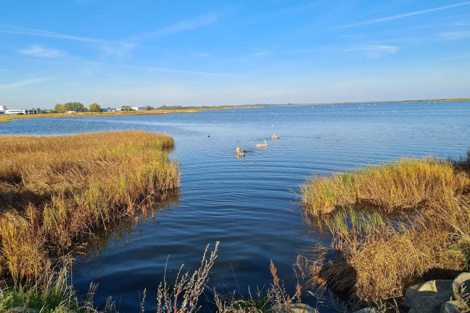 5 sterren vakantie huis in Køge-Waterzicht