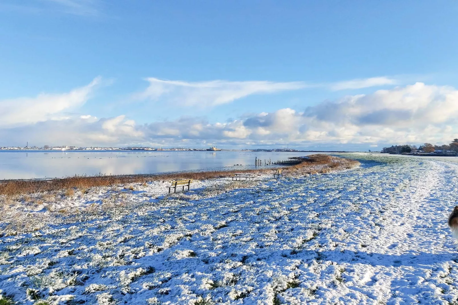 6 Personen vakantie huis in Storvorde-Waterzicht