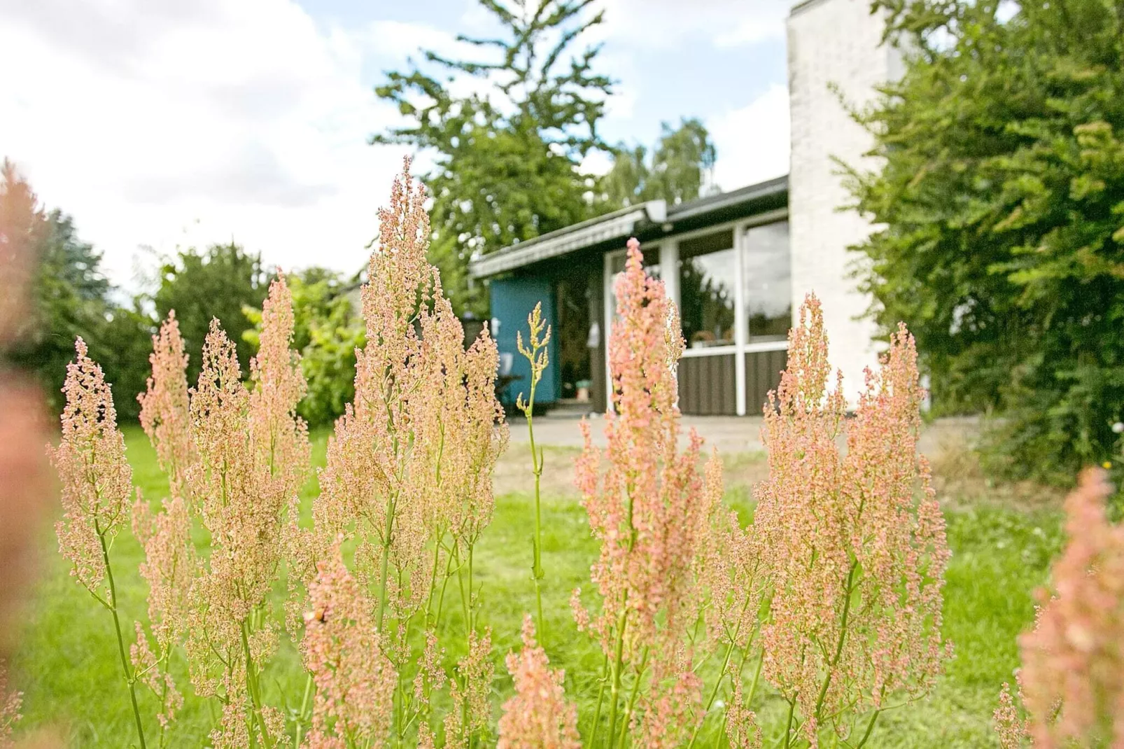 4 persoons vakantie huis in Frørup-Buitenlucht