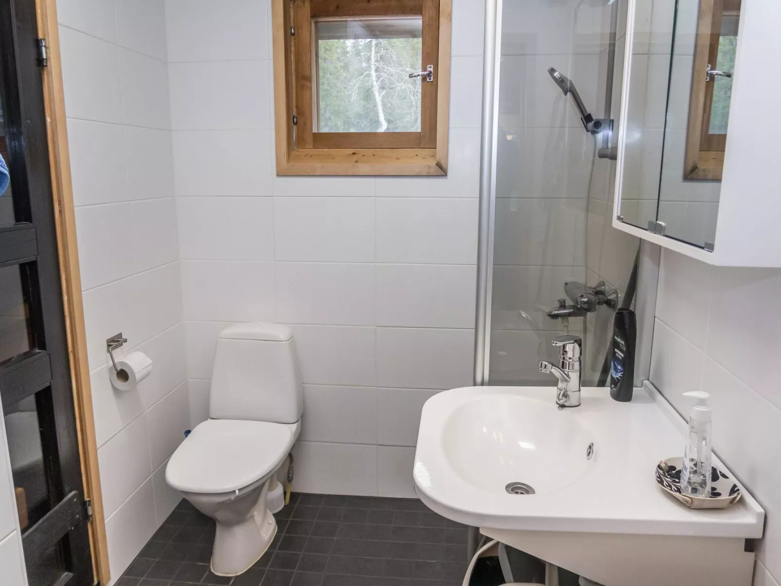 Vuosselin kuukkeli-Binnen