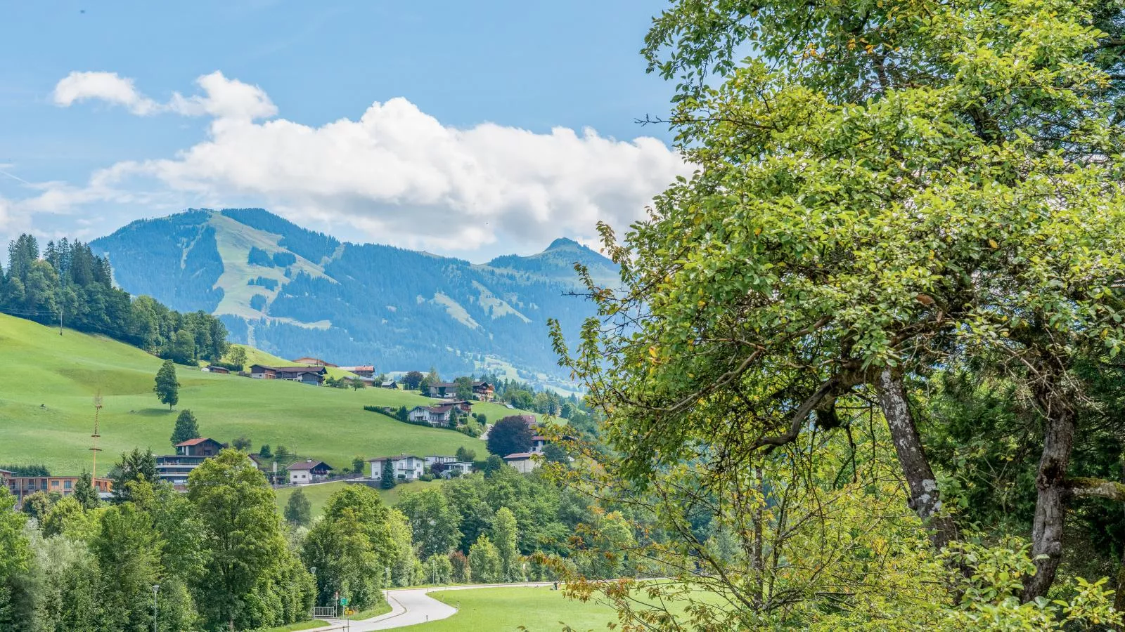 Alte Grafenmühle-Uitzicht