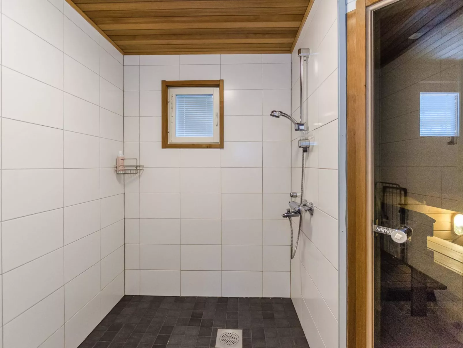 Blue lake villa-Binnen