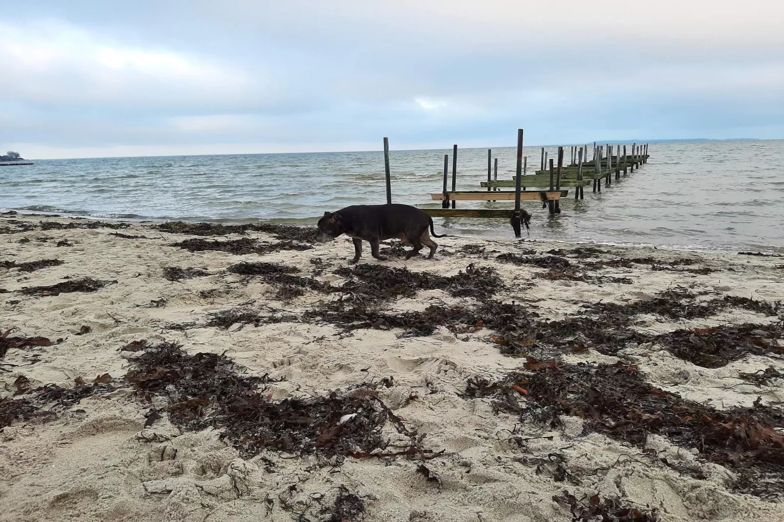 5 sterren vakantie huis in Hejls-Waterzicht