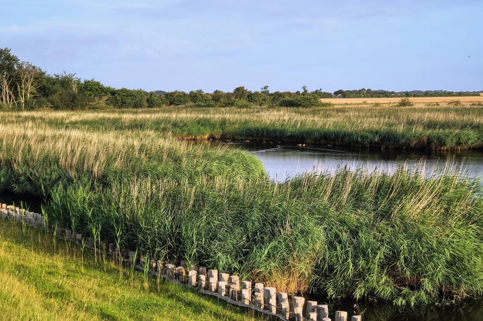 FeWo Hygge Havn-Gebieden zomer 5km