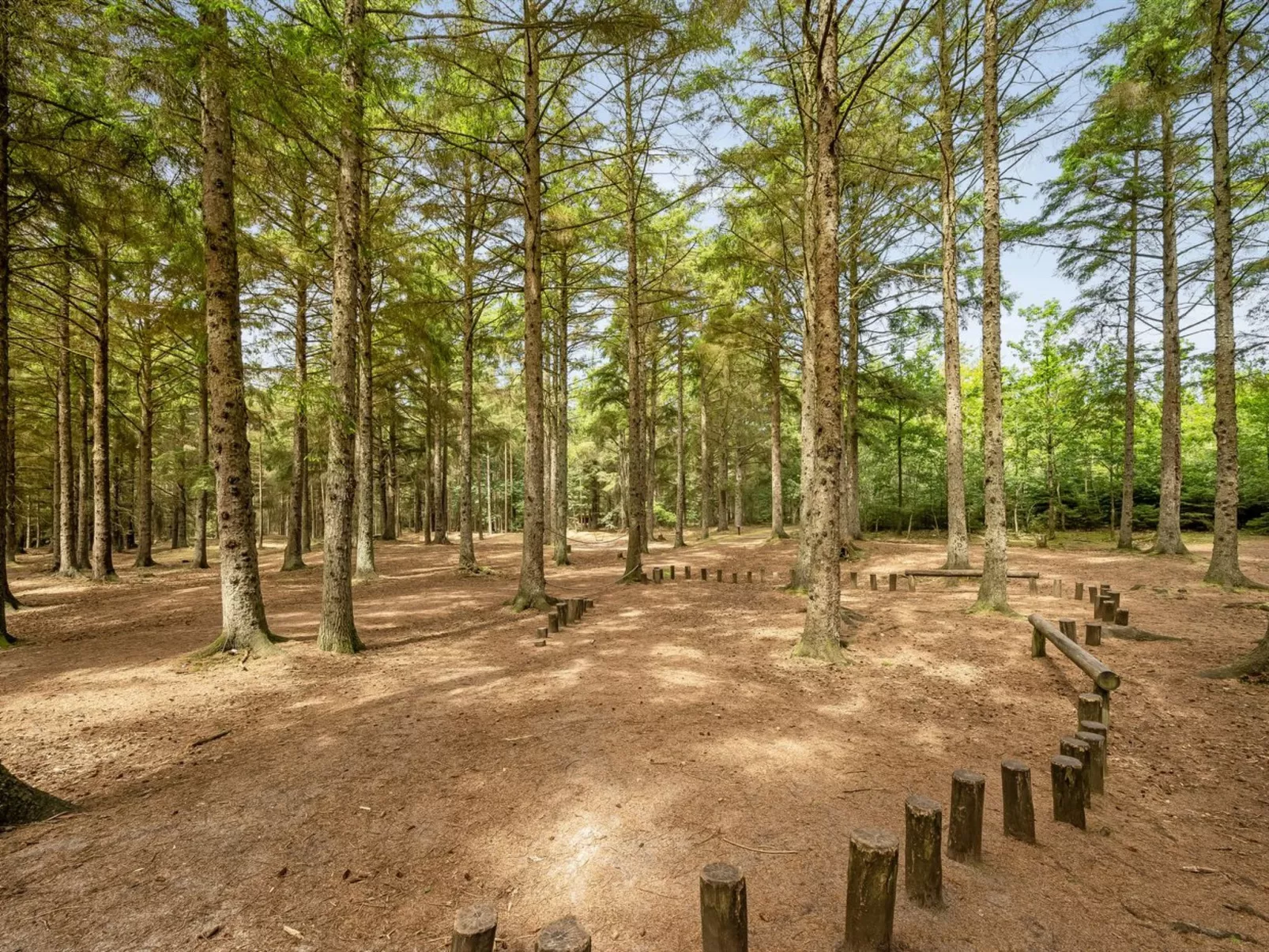 "Ernesta" -  from the sea-Buiten