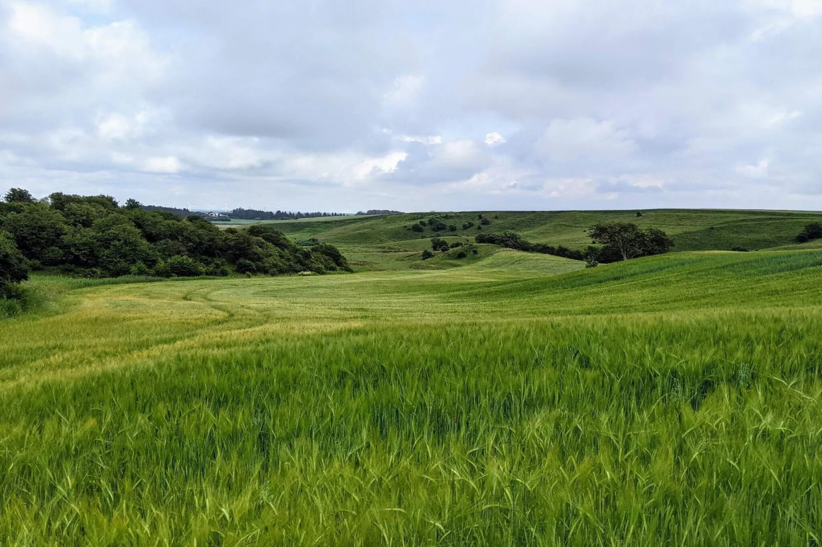 4 sterren vakantie huis in Brønderslev-Niet-getagd