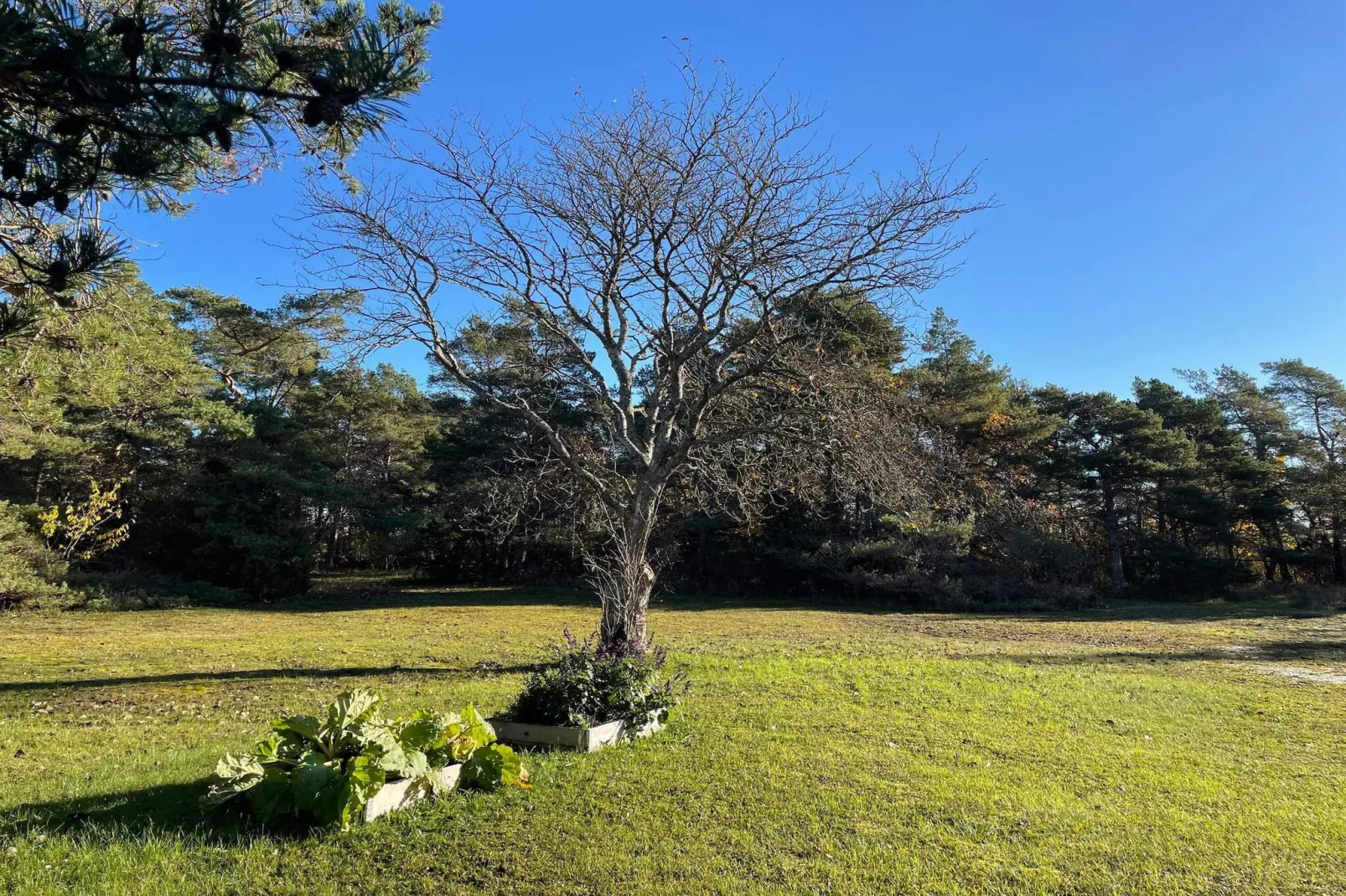 4 sterren vakantie huis in VISBY-Buitenlucht