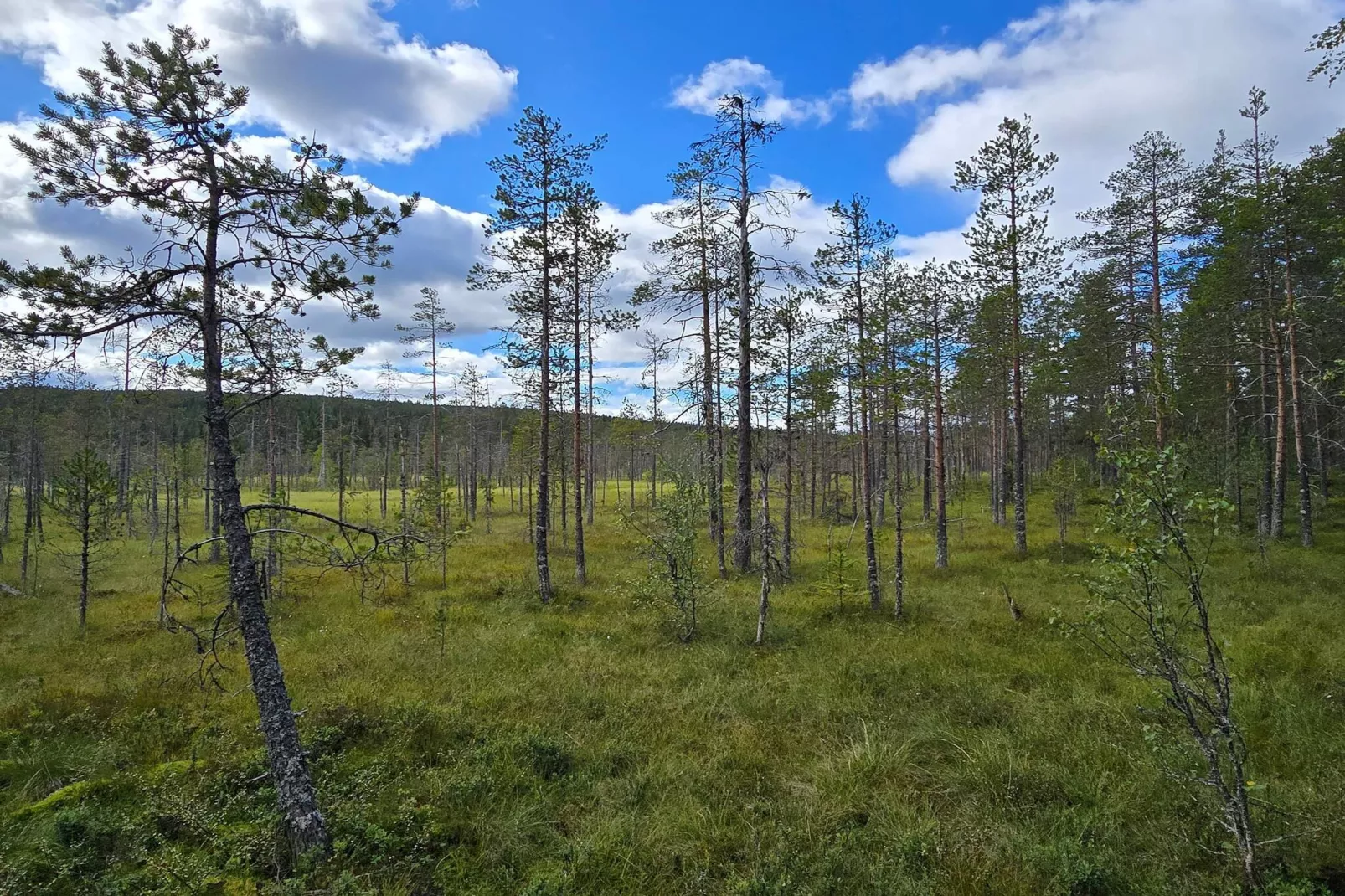 6 Personen vakantie huis in Osen-Niet-getagd